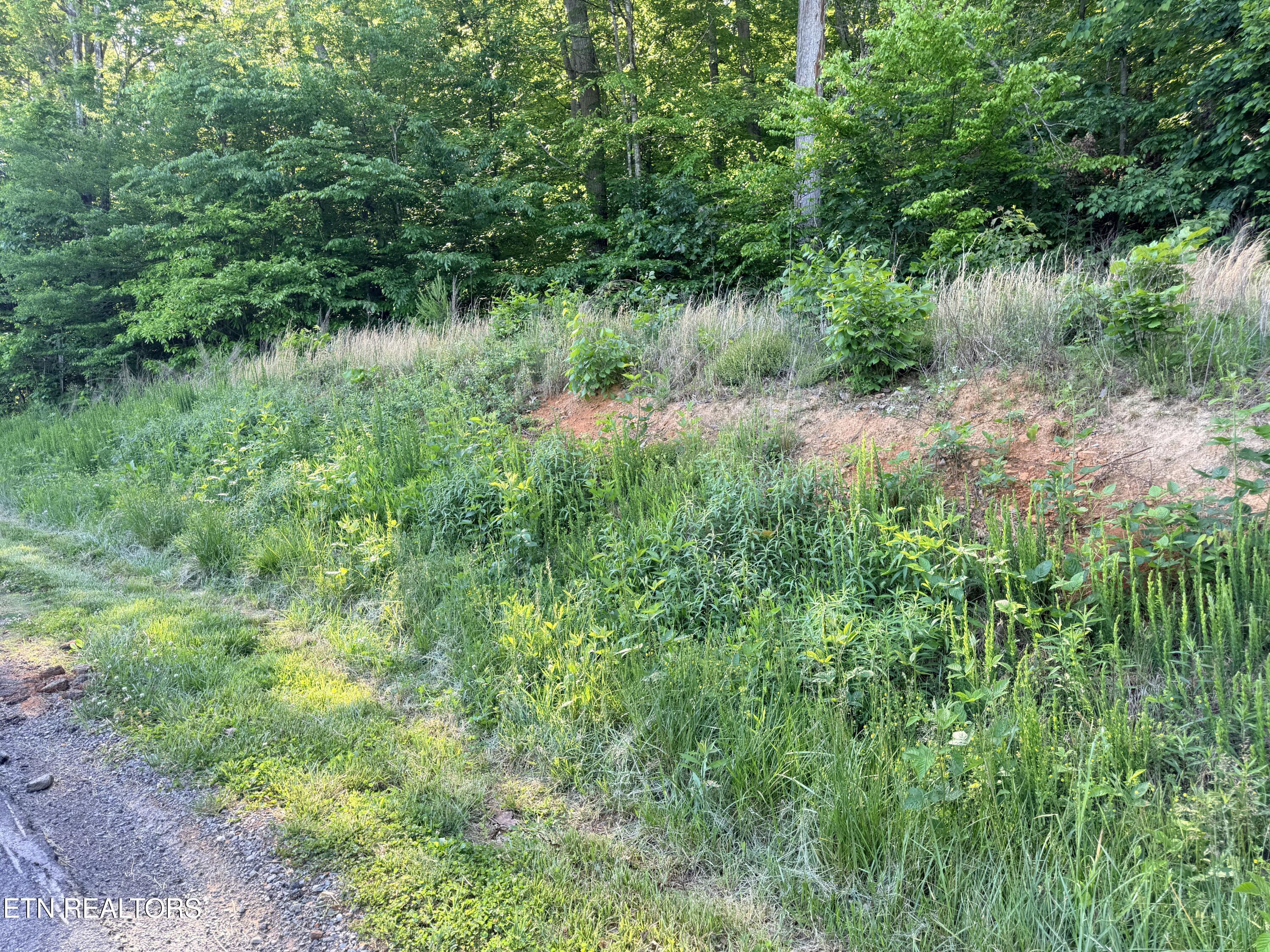 Lot 74, Norris Shores Drive, Sharps Chapel, TN - Norris Lake Real Estate - Image# 7