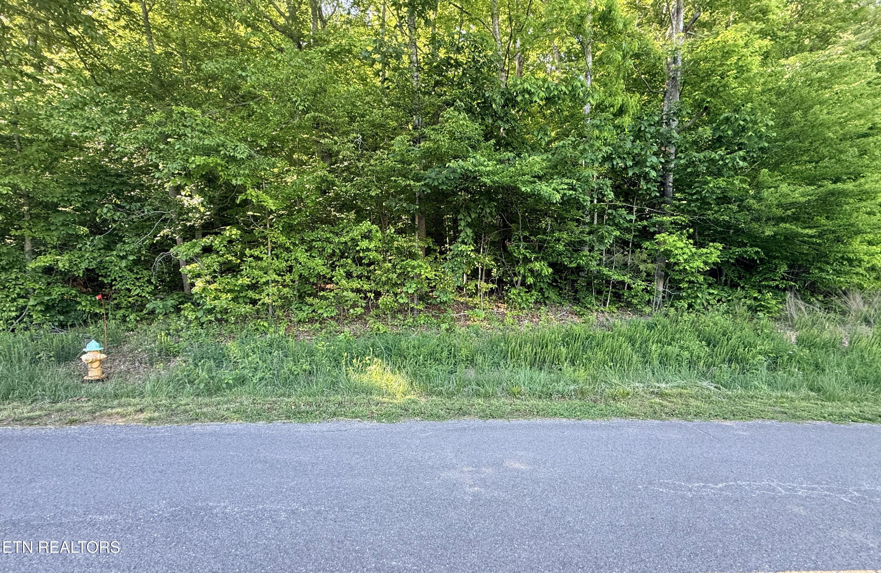 Lot 74, Norris Shores Drive, Sharps Chapel, TN - Norris Lake Real Estate - Image# 27