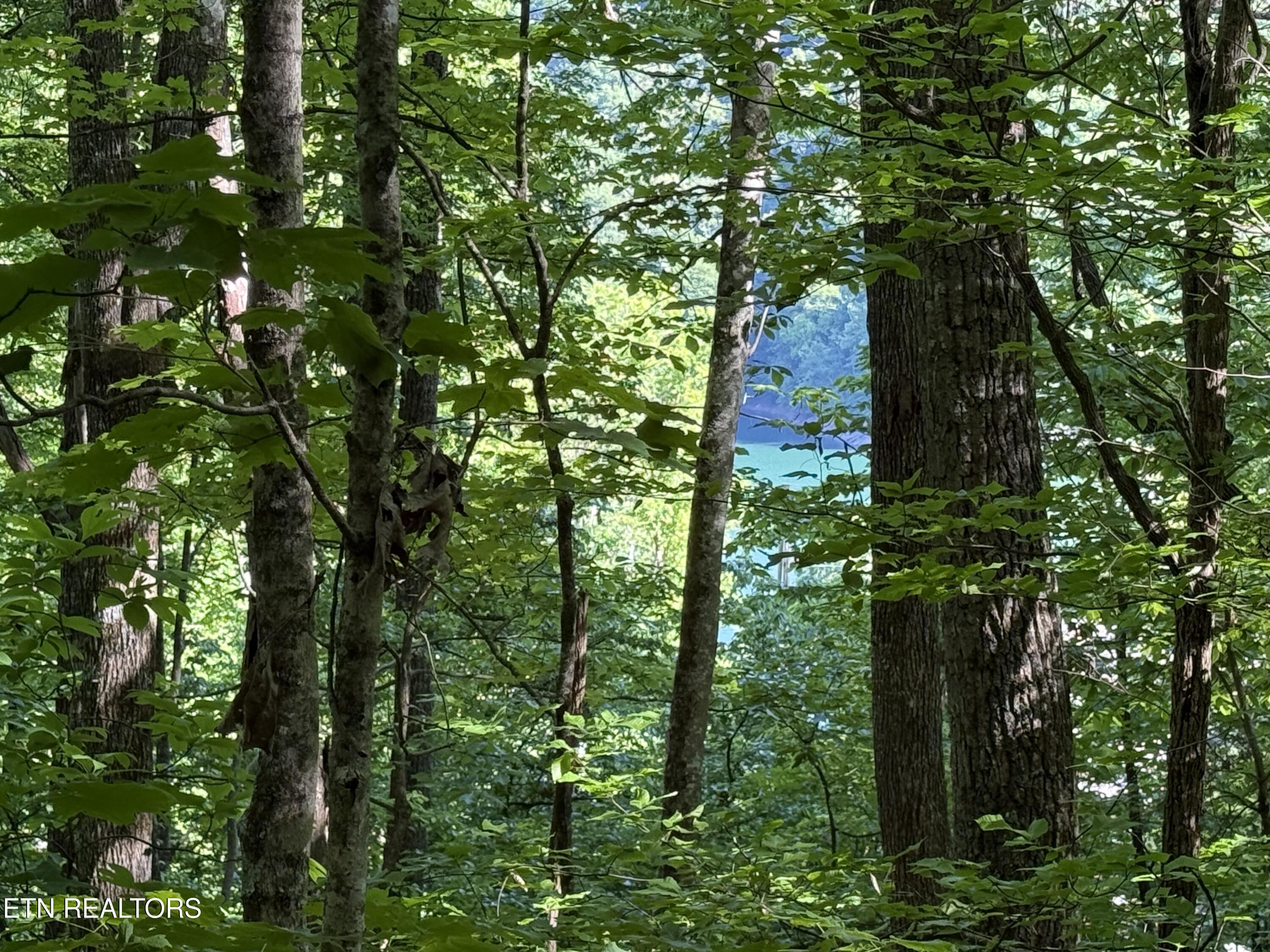 Lot 74, Norris Shores Drive, Sharps Chapel, TN - Norris Lake Real Estate - Image# 1