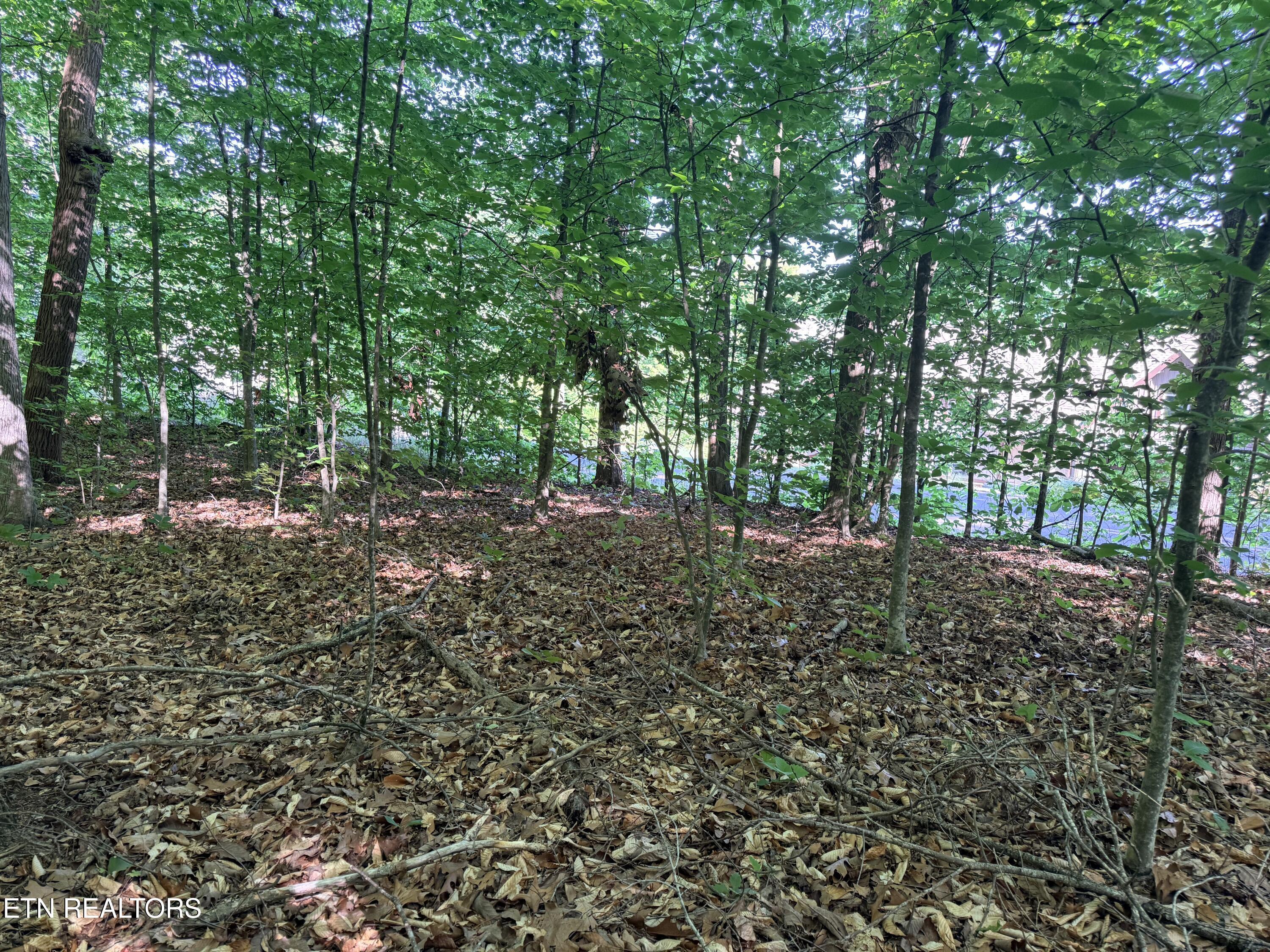 Lot 74, Norris Shores Drive, Sharps Chapel, TN - Norris Lake Real Estate - Image# 2