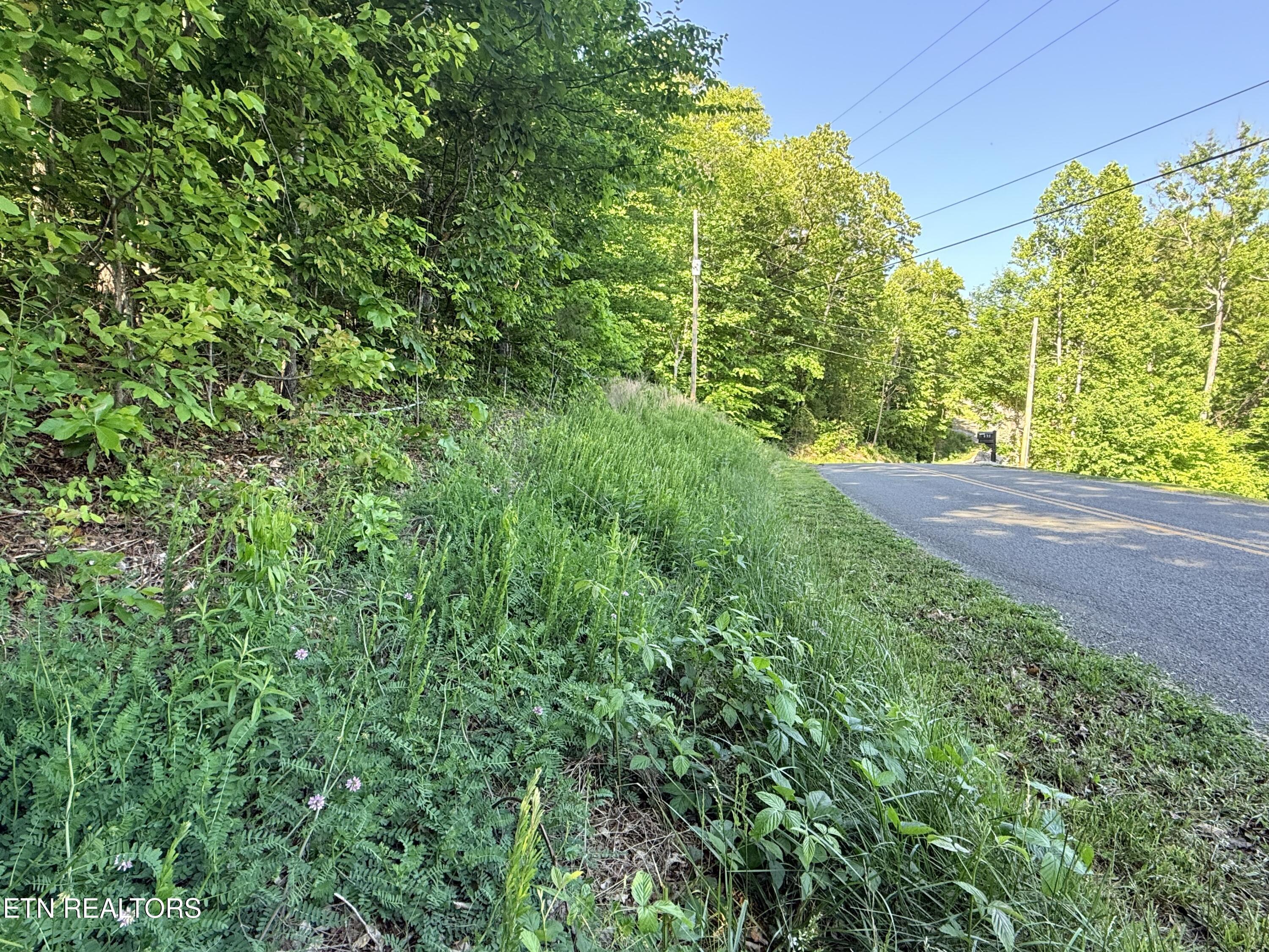 Lot 74, Norris Shores Drive, Sharps Chapel, TN - Norris Lake Real Estate - Image# 3