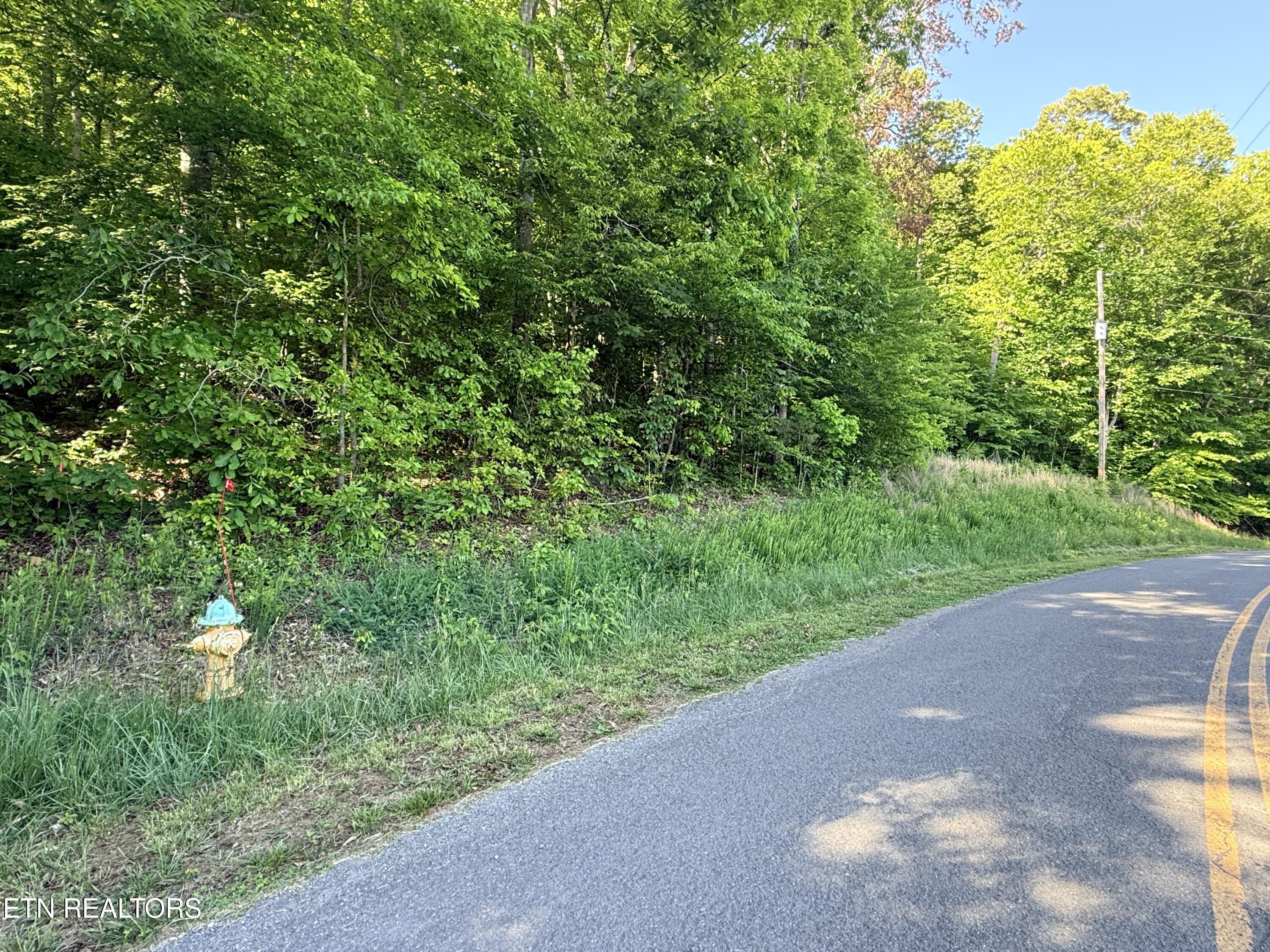 Lot 74, Norris Shores Drive, Sharps Chapel, TN - Norris Lake Real Estate - Image# 4