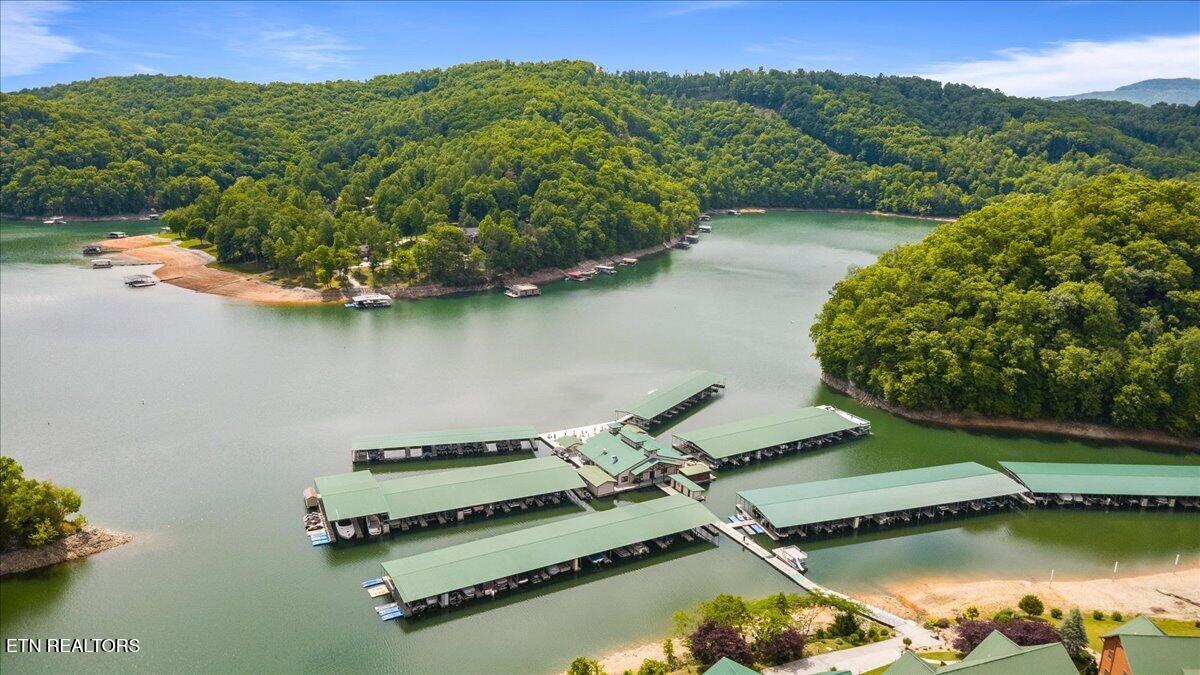 Norris Lake Real Estate - Image# 67