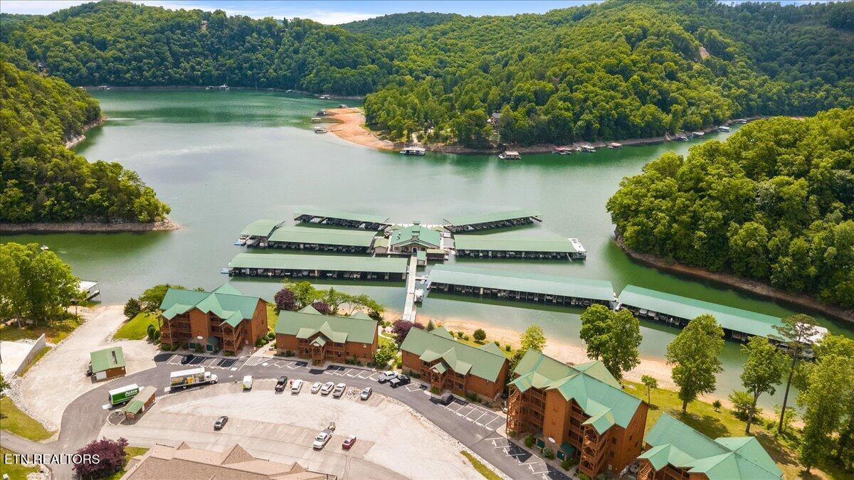 Norris Lake Real Estate - Image# 69