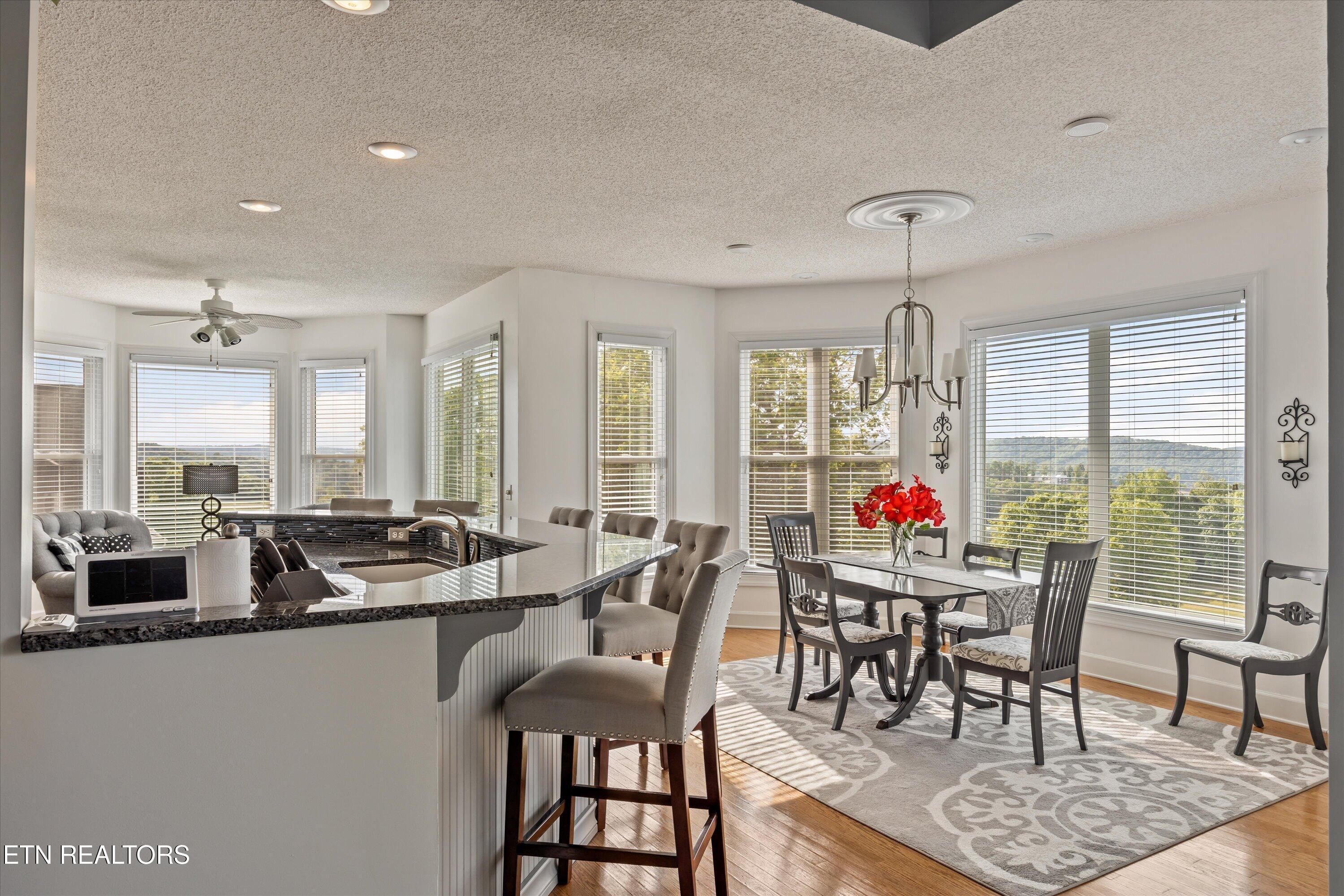 244 Championship Way, Lafollette, TN - Norris Lake Real Estate - Image# 13