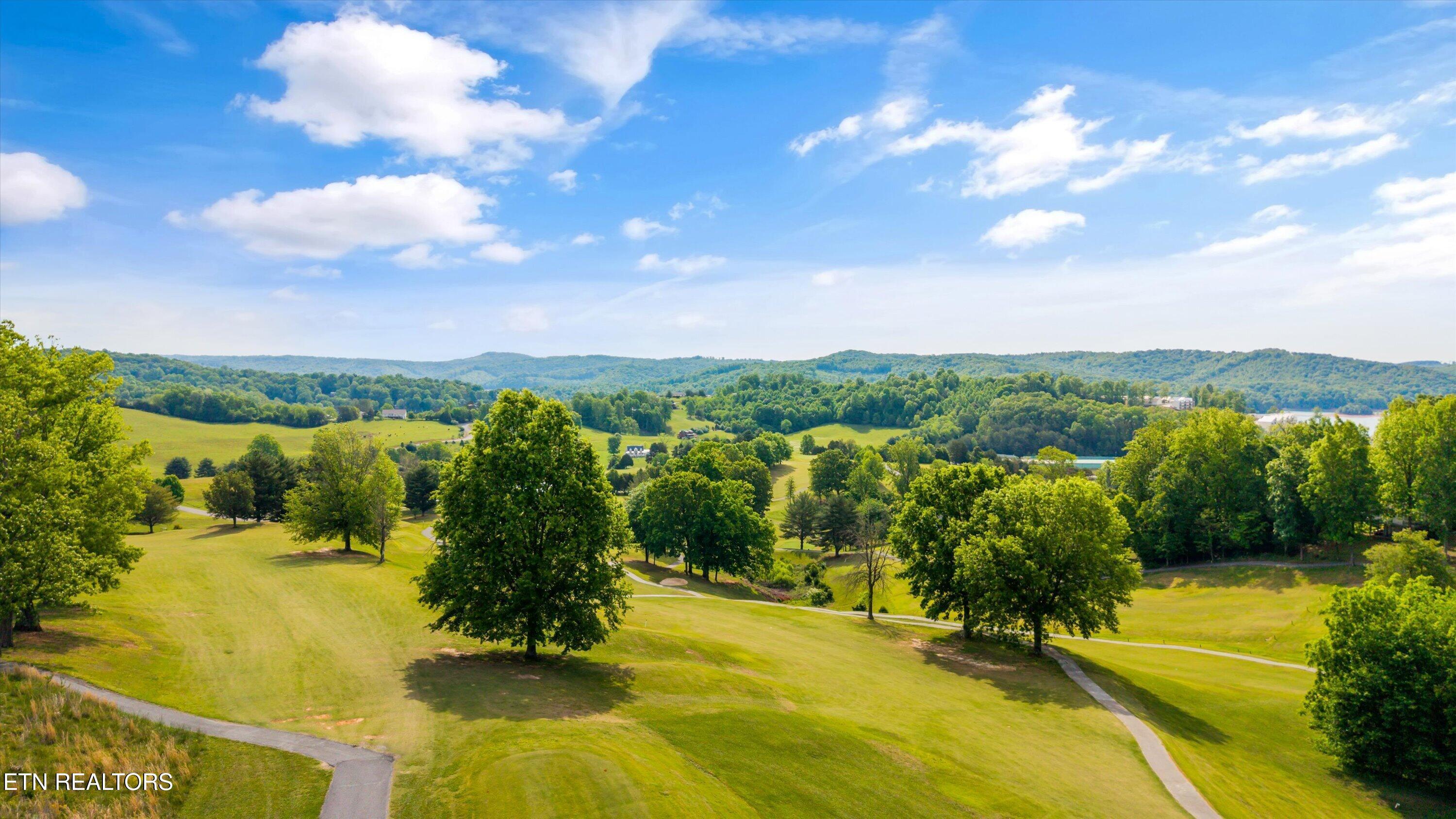 244 Championship Way, Lafollette, TN - Norris Lake Real Estate - Image# 59