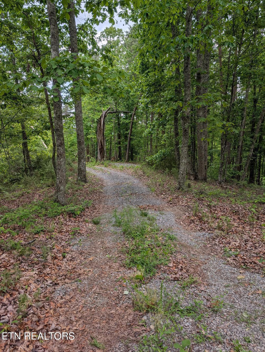 Norris Lake Real Estate - Image# 3