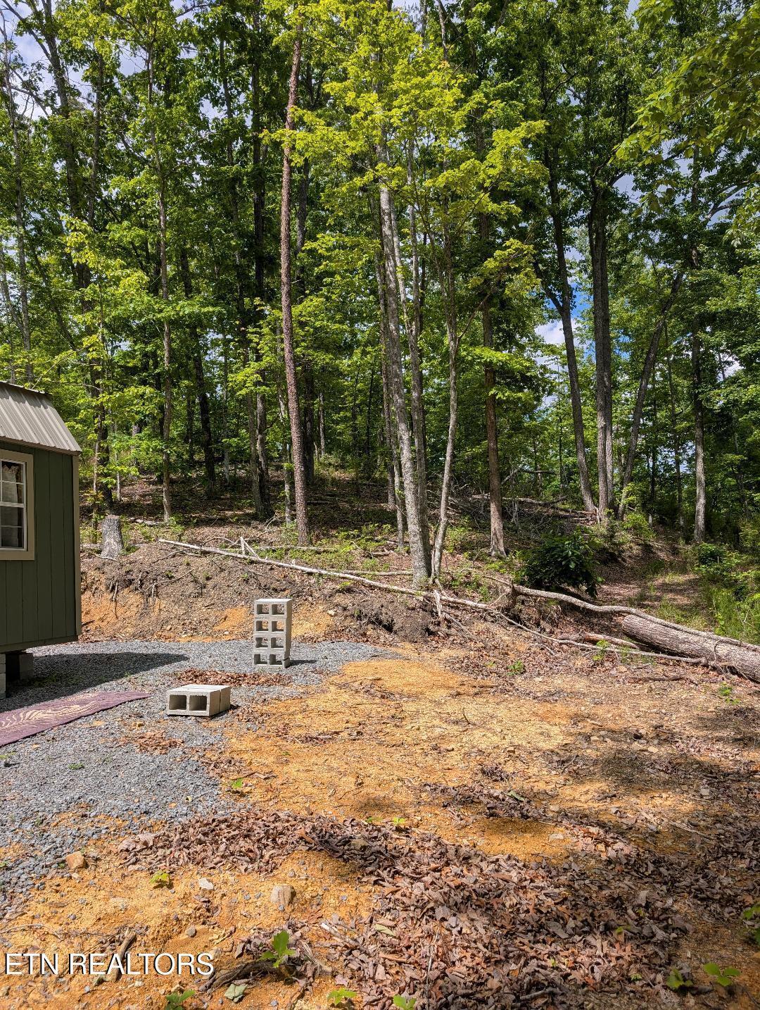 Norris Lake Real Estate - Image# 7