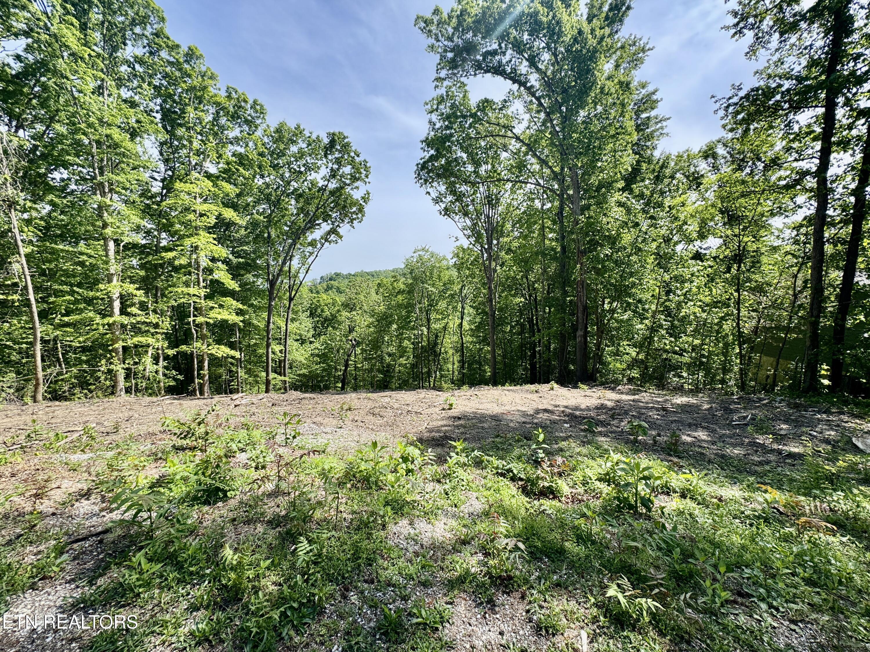 Norris Lake Real Estate - Image# 2