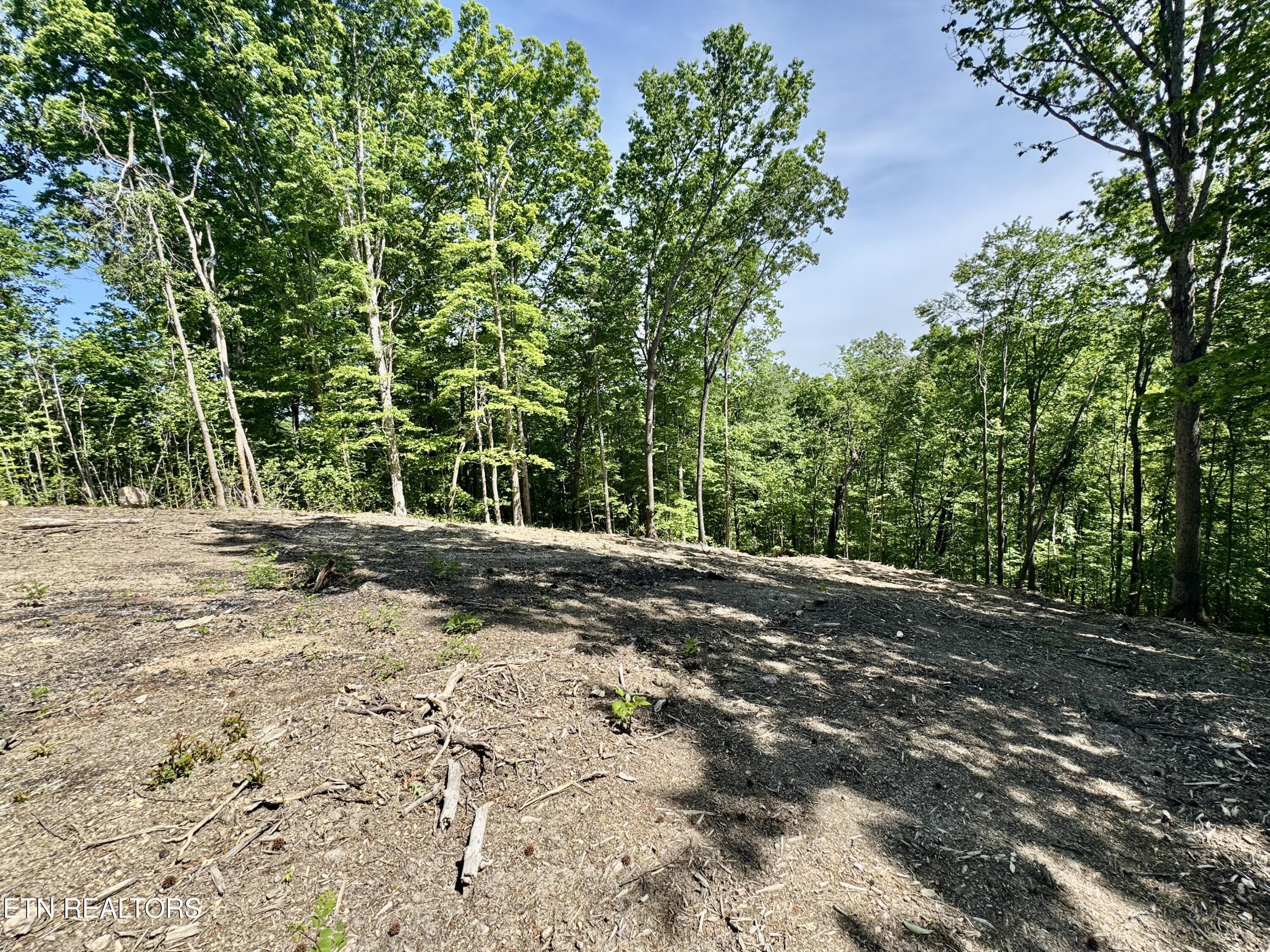 Norris Lake Real Estate - Image# 5