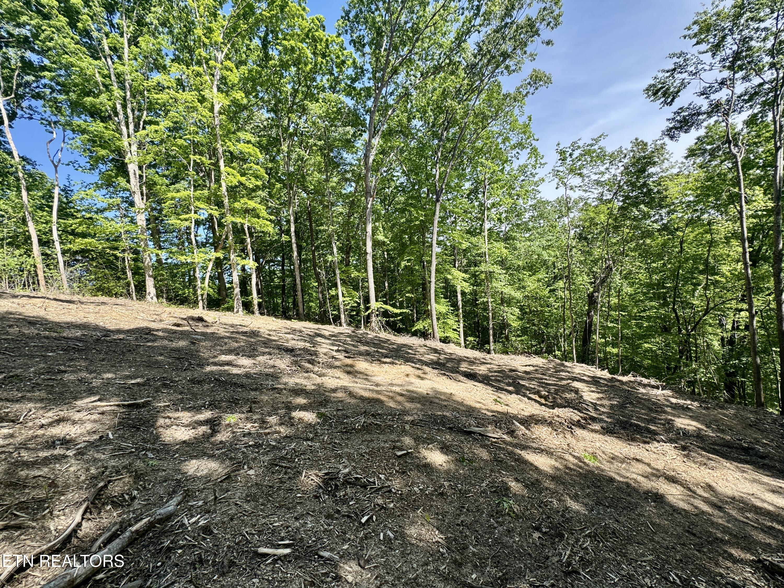 Norris Lake Real Estate - Image# 7
