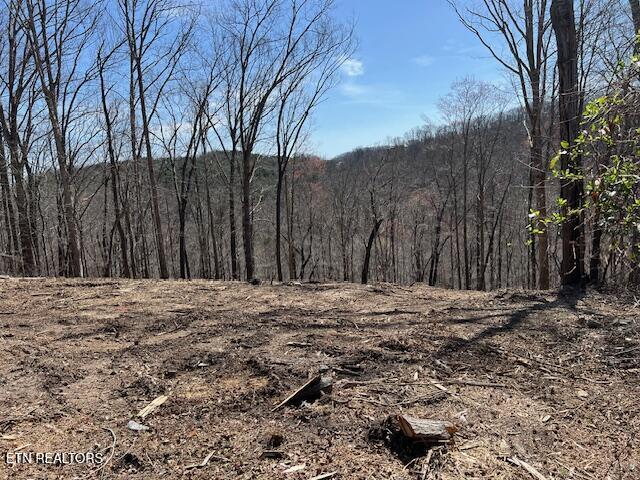 Norris Lake Real Estate - Image# 18