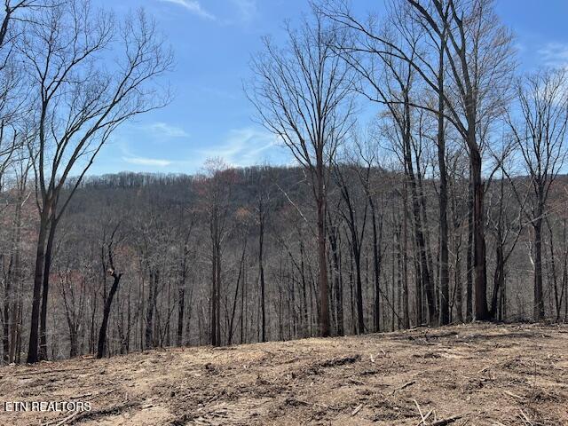 Norris Lake Real Estate - Image# 19