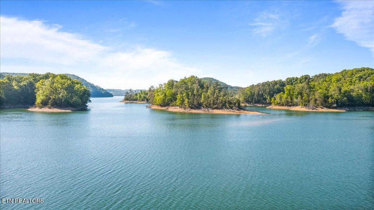 Norris Lake Real Estate - Image# 4