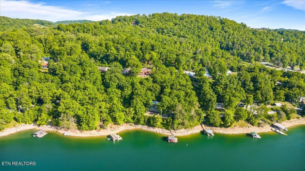 Norris Lake Real Estate - Image# 54