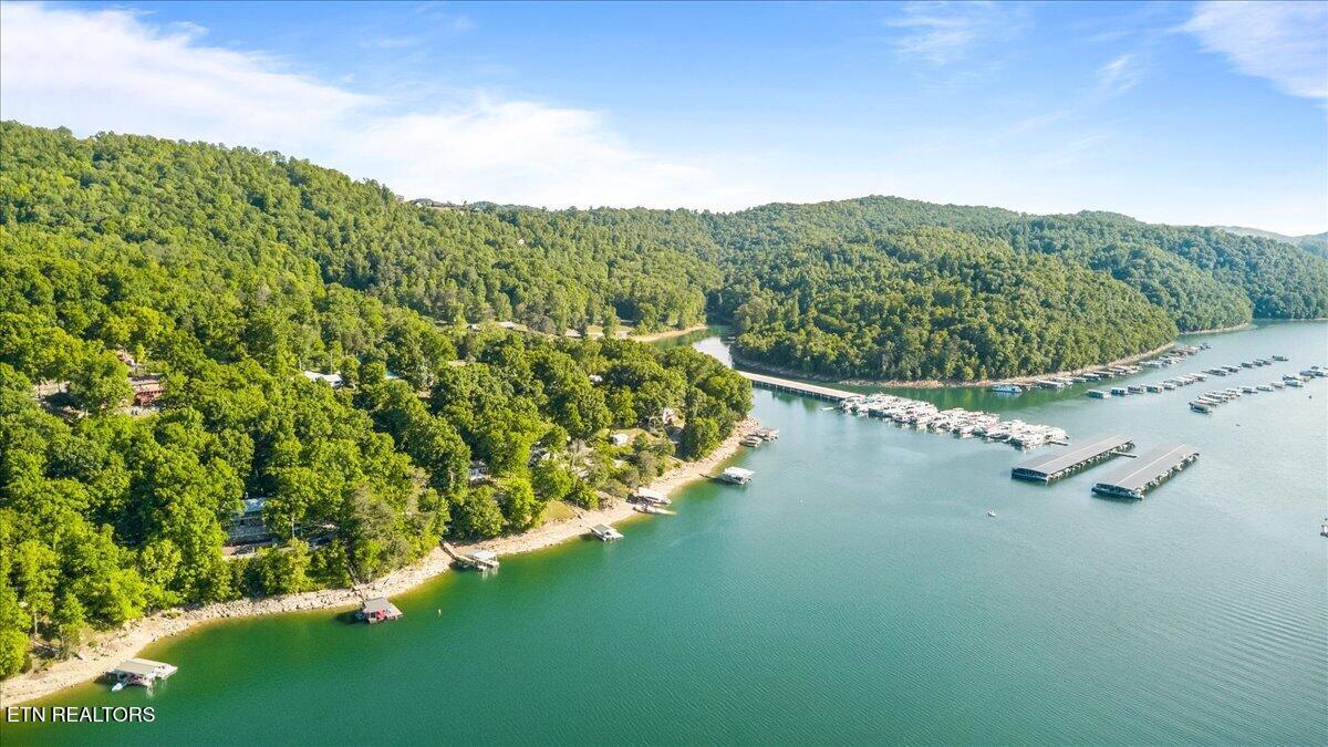 Norris Lake Real Estate - Image# 55