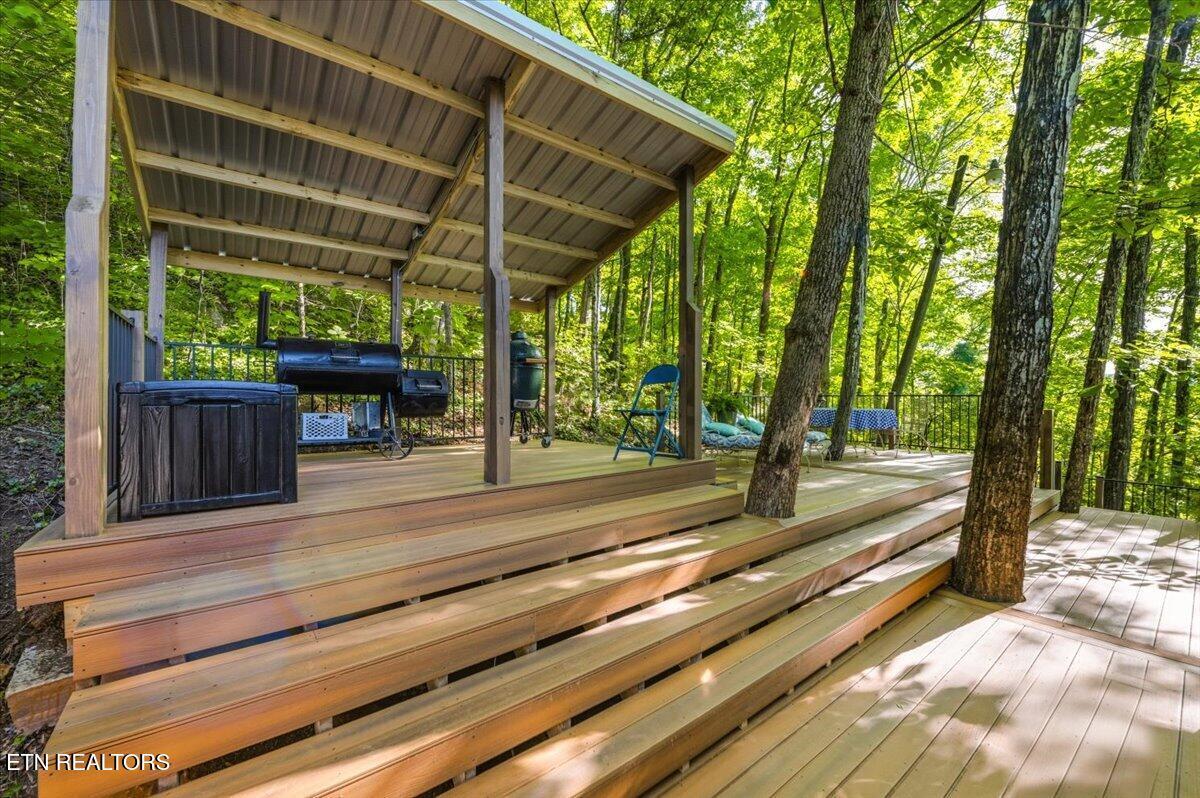 Norris Lake Real Estate - Image# 50