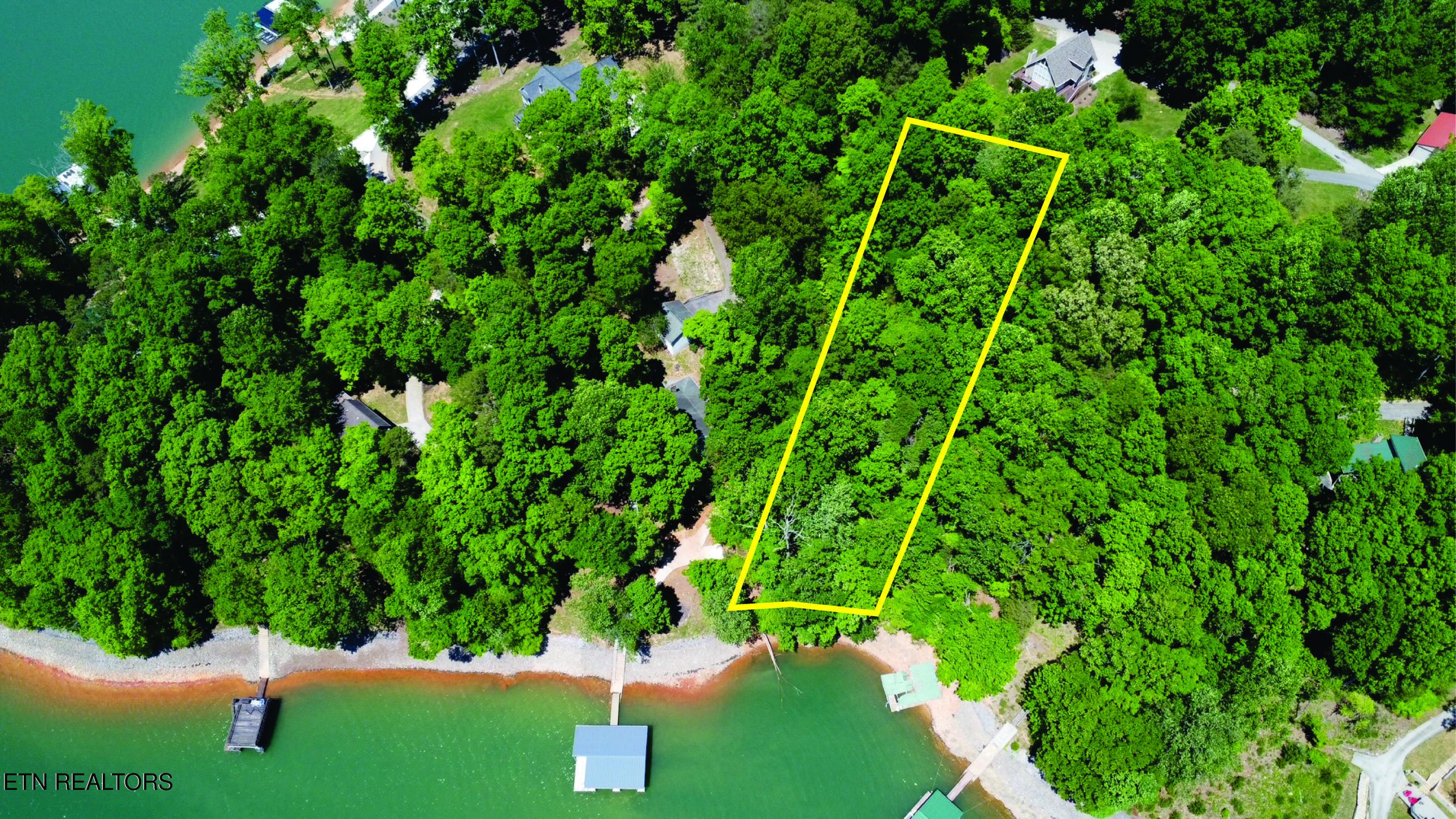 Norris Lake Real Estate - Image# 4