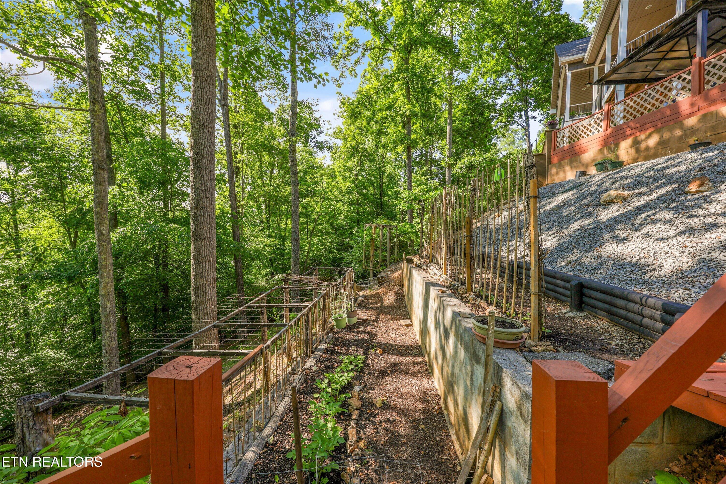 Norris Lake Real Estate - Image# 53
