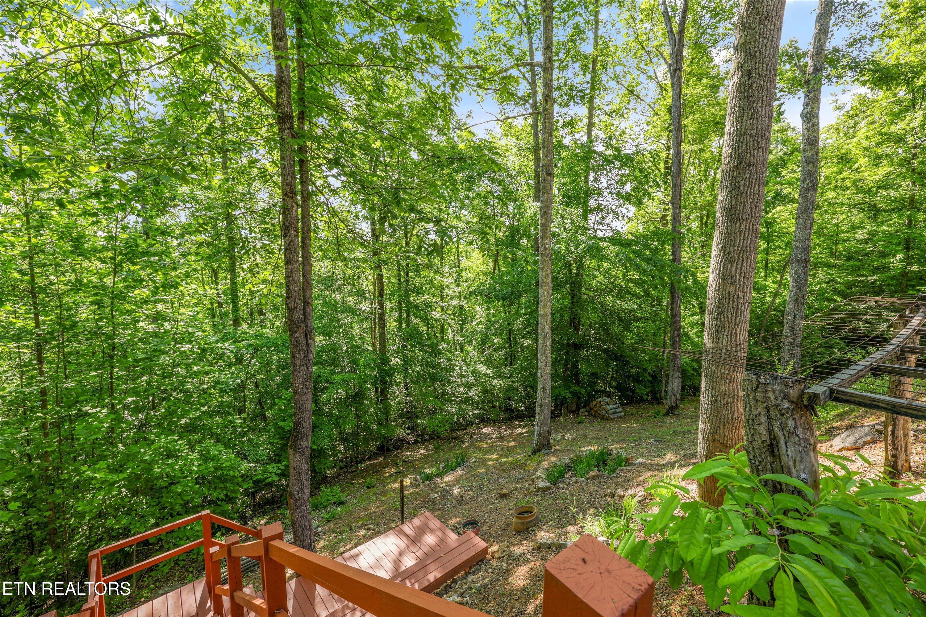 Norris Lake Real Estate - Image# 54