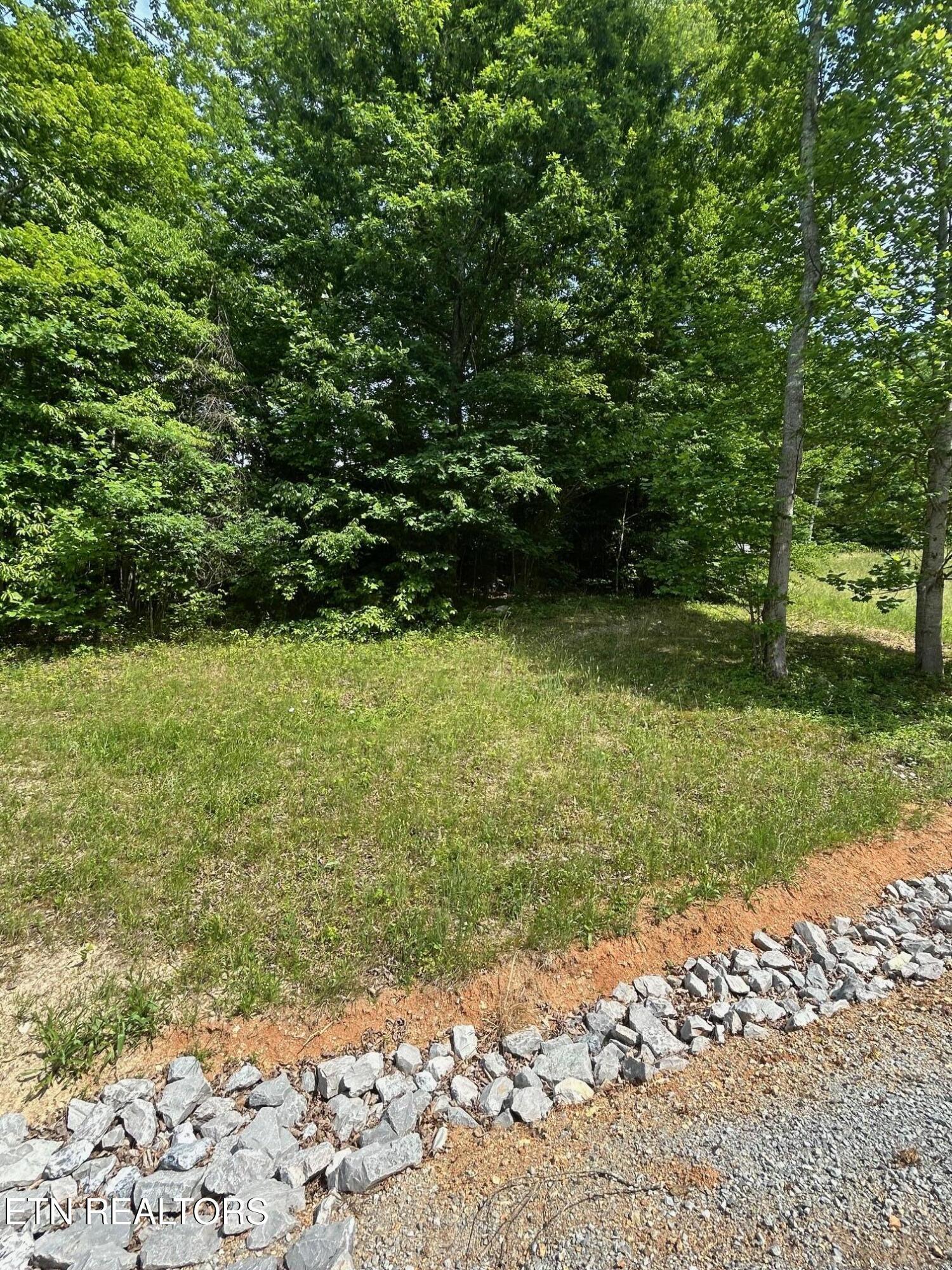lot 214 Suncrest Cove, Lafollette, TN - Norris Lake Real Estate - Image# 7