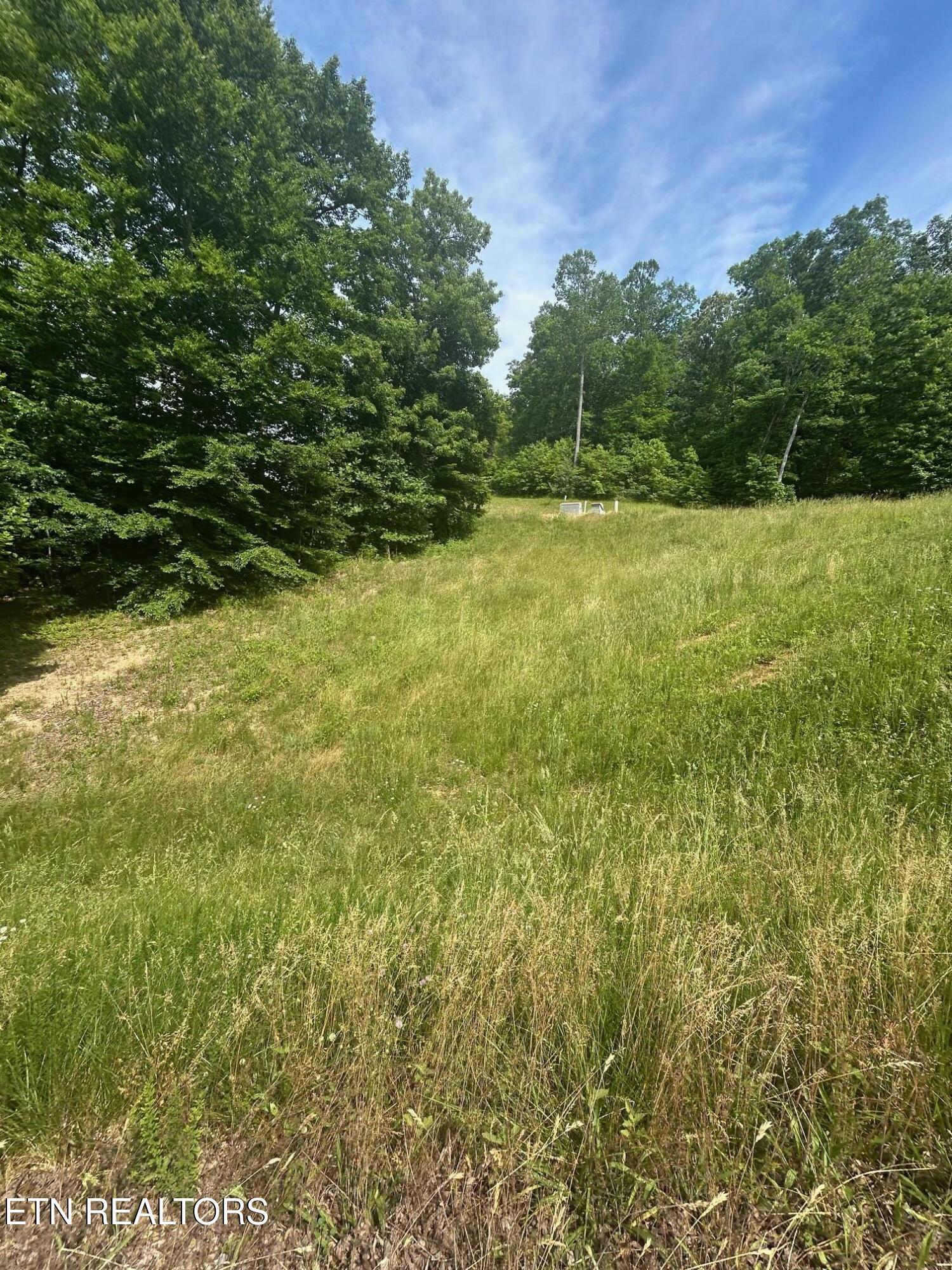 lot 214 Suncrest Cove, Lafollette, TN - Norris Lake Real Estate - Image# 6