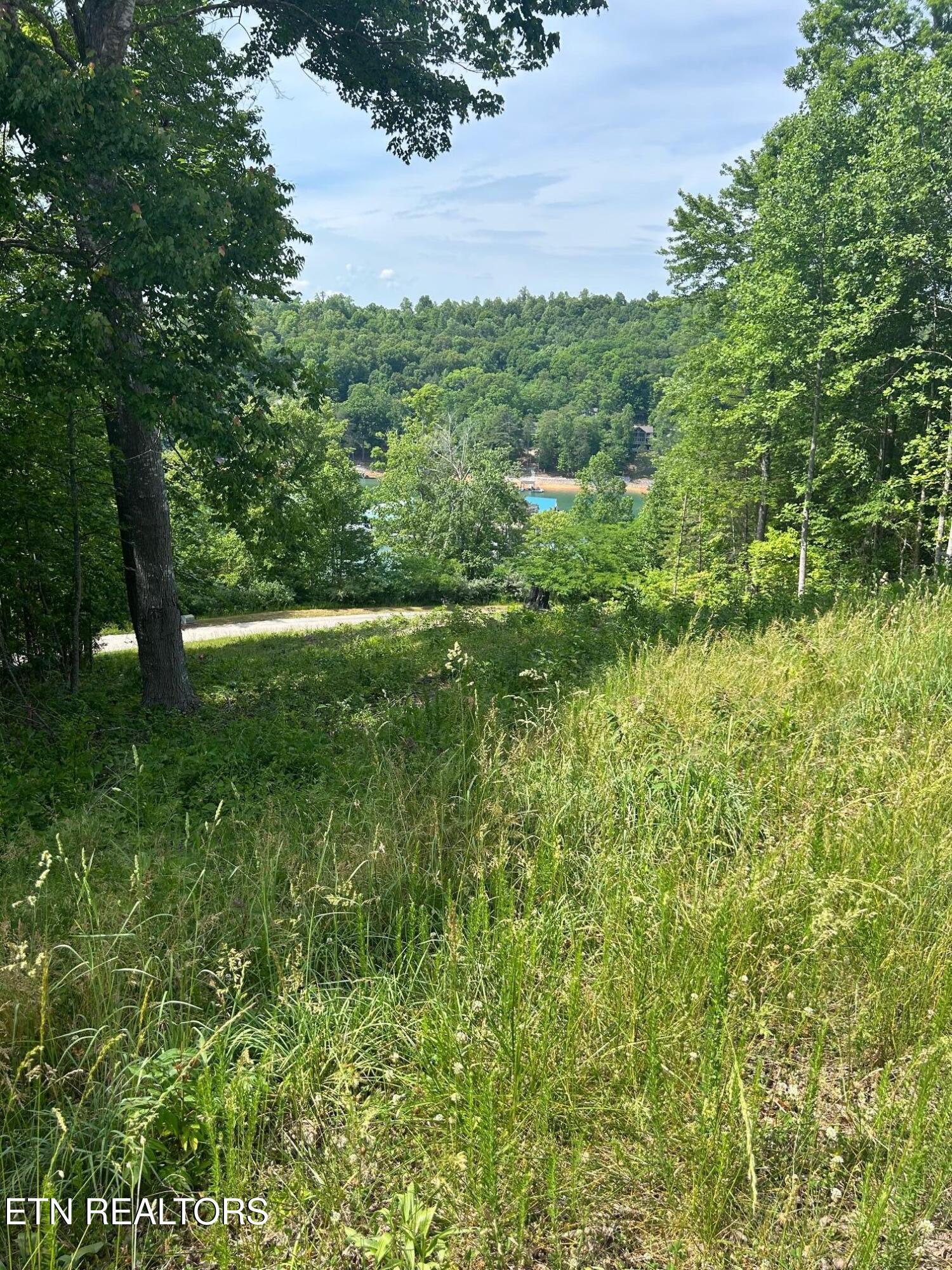 lot 214 Suncrest Cove, Lafollette, TN - Norris Lake Real Estate - Image# 8