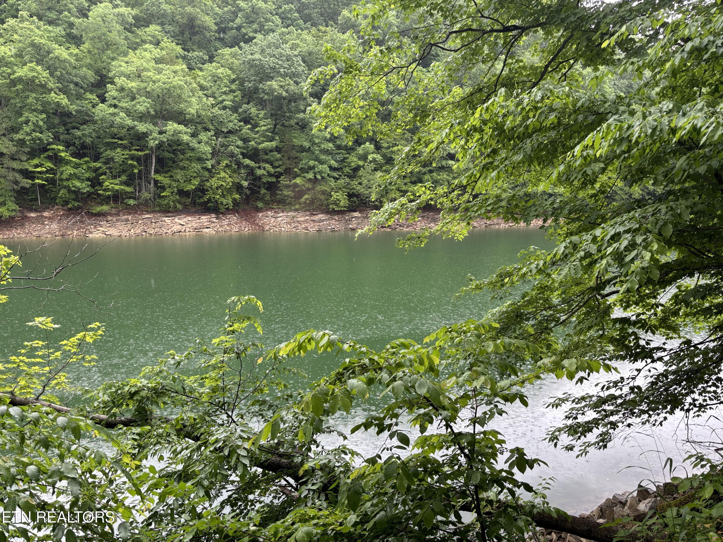Lakemont Lane, Caryville, TN - Norris Lake Real Estate - Image# 6