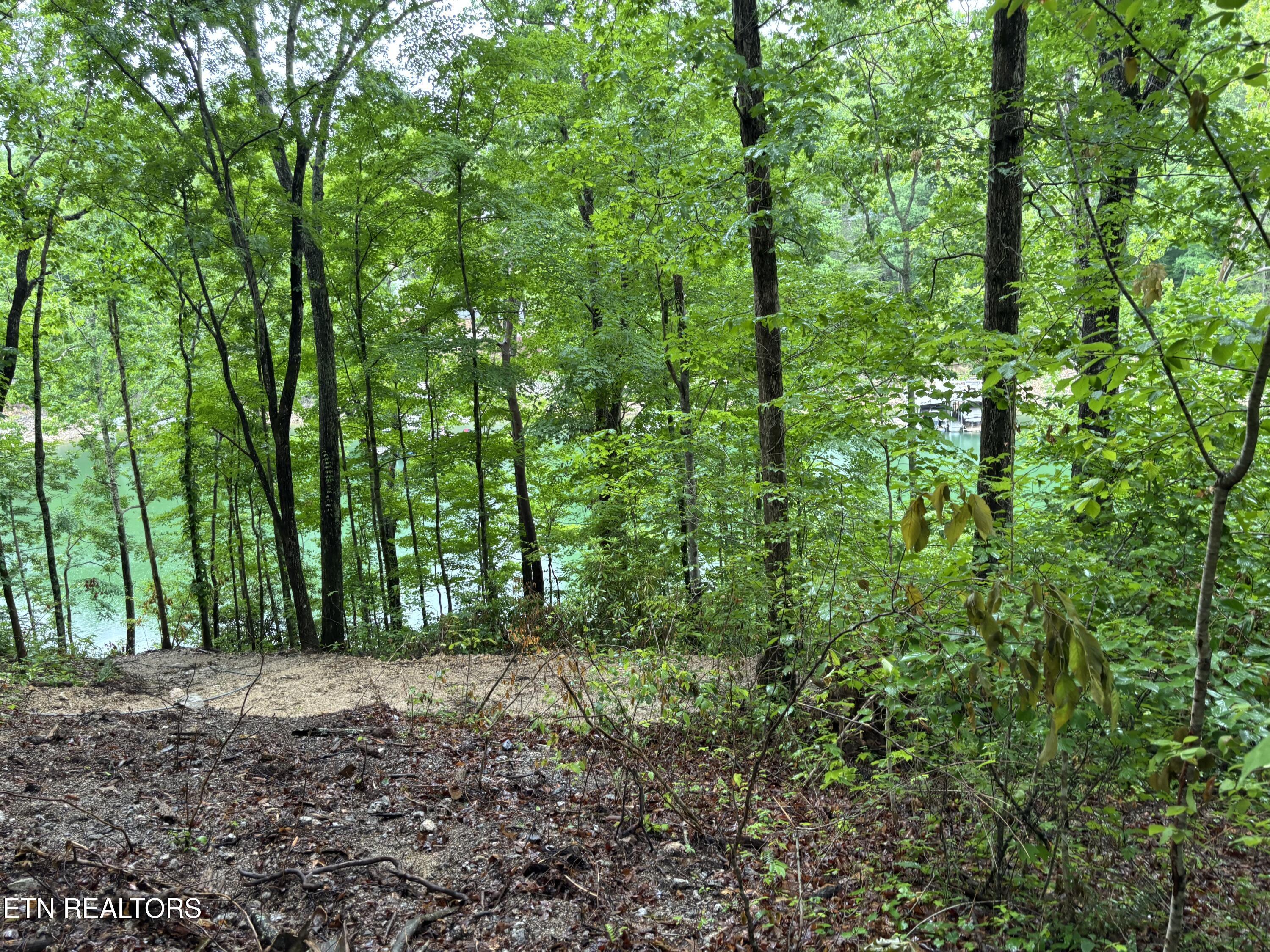 Lakemont Lane, Caryville, TN - Norris Lake Real Estate - Image# 4