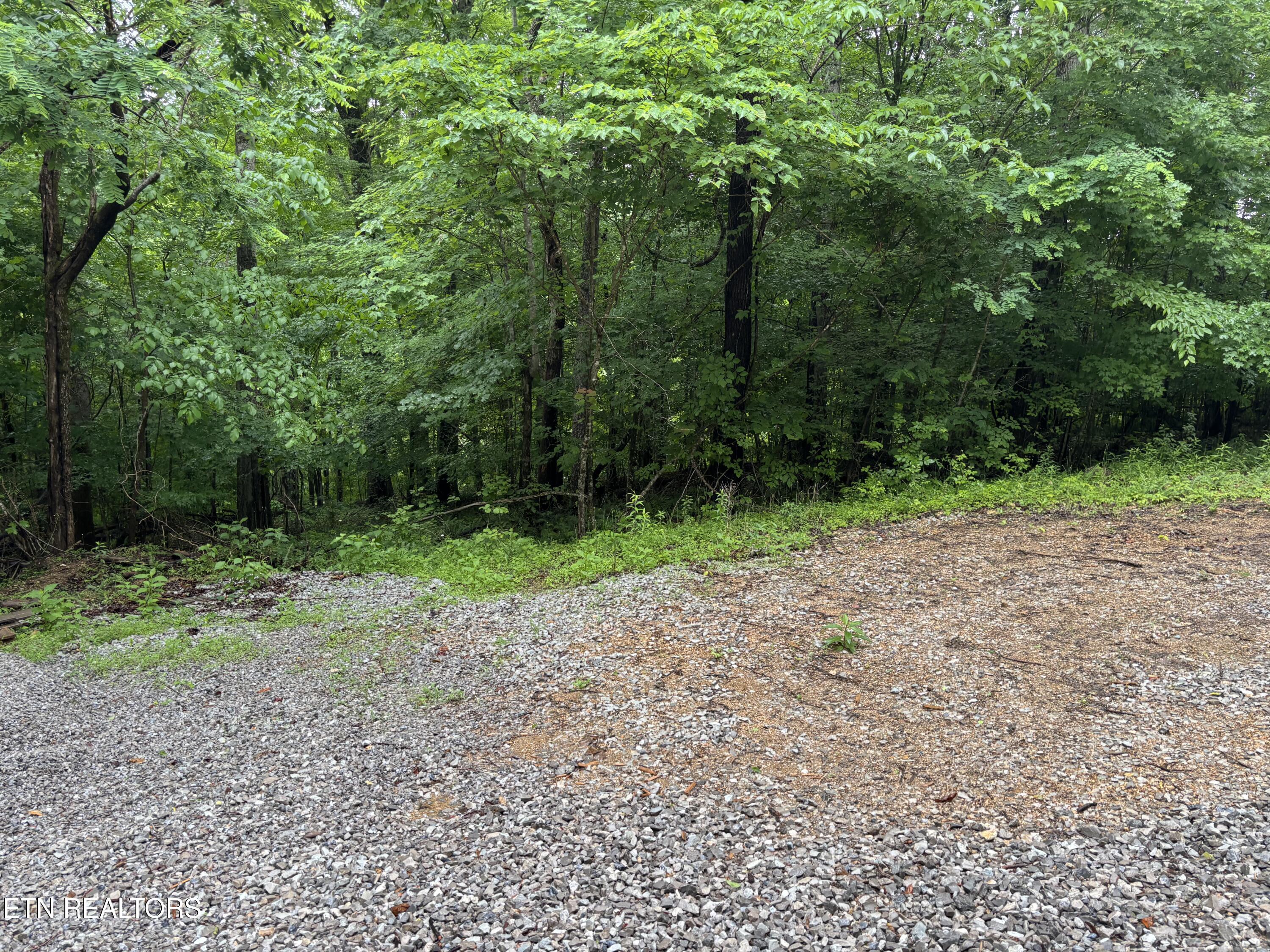 Lakemont Lane, Caryville, TN - Norris Lake Real Estate - Image# 1