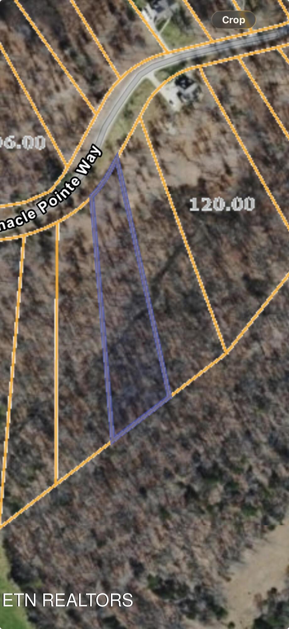 Lot 79 Pinnacle Pointe Way, Sharps Chapel, TN - Norris Lake Real Estate - Image# 1