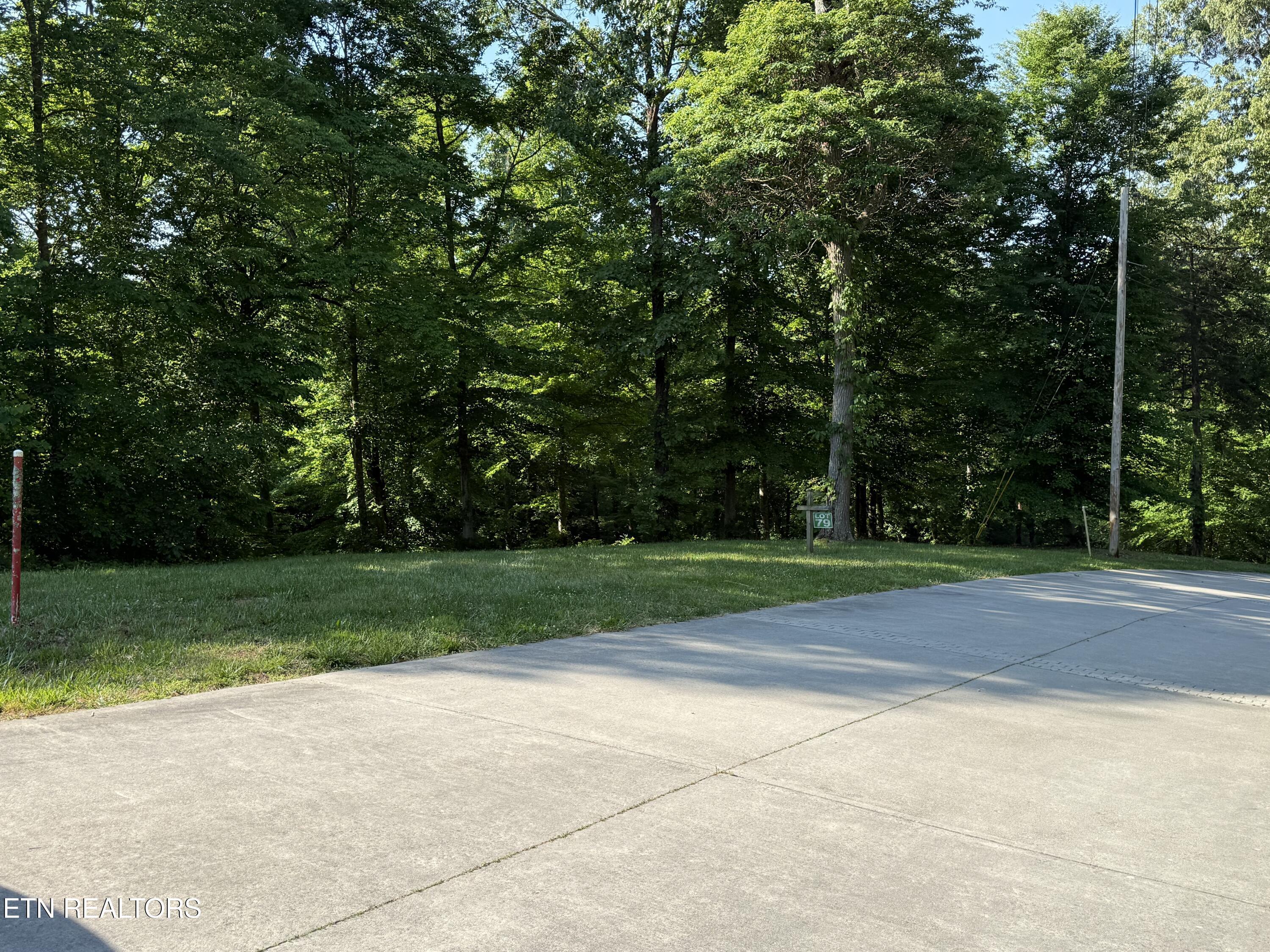 Lot 79 Pinnacle Pointe Way, Sharps Chapel, TN - Norris Lake Real Estate - Image# 2