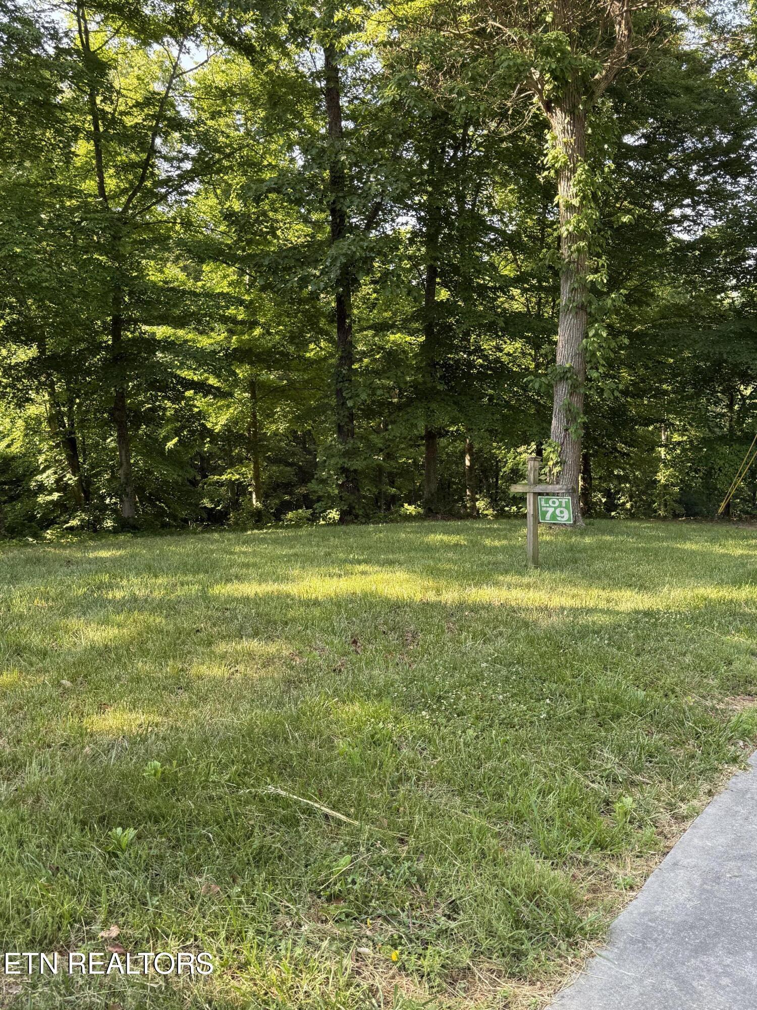 Lot 79 Pinnacle Pointe Way, Sharps Chapel, TN - Norris Lake Real Estate - Image# 3