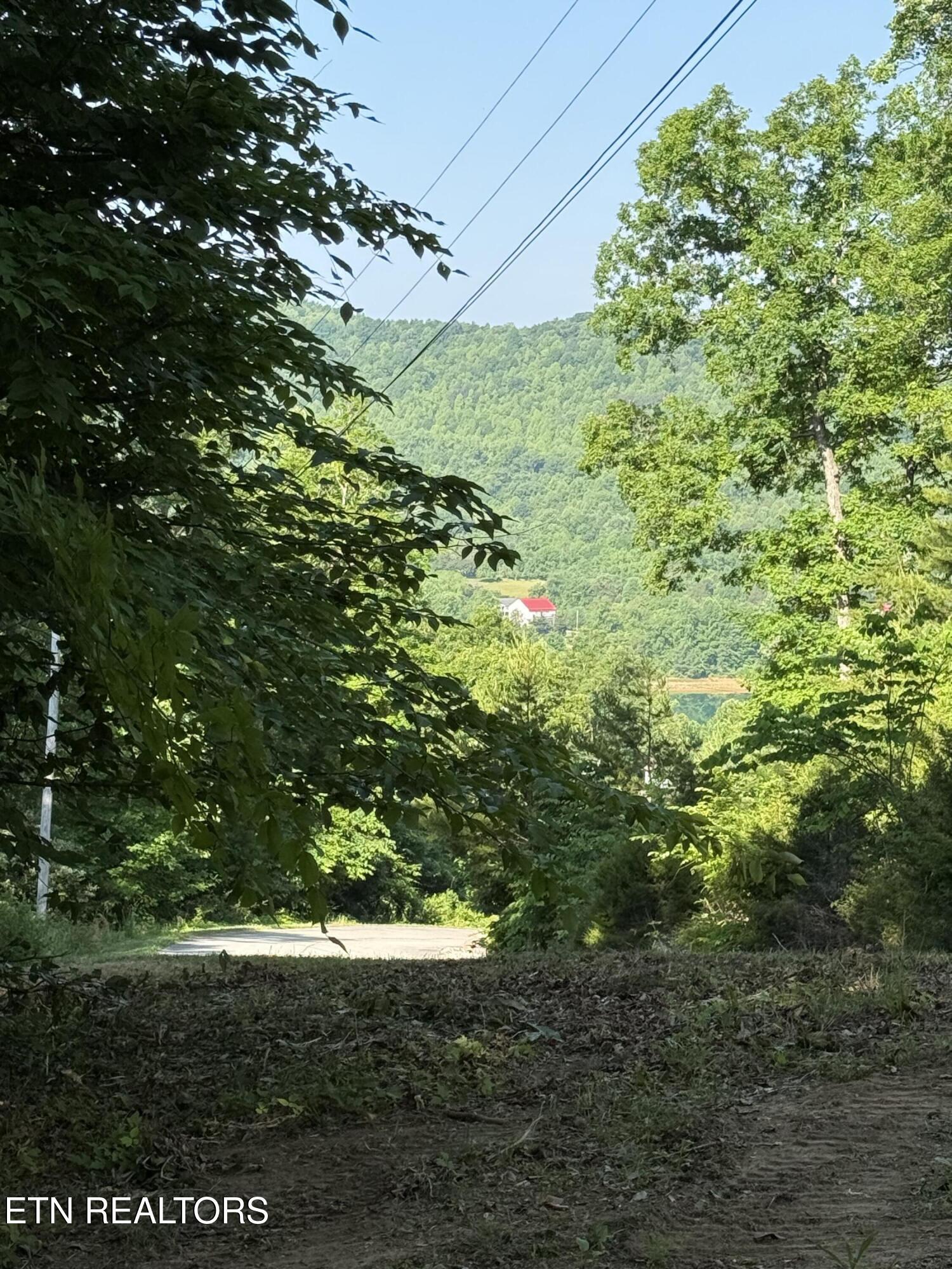 Lot 79 Pinnacle Pointe Way, Sharps Chapel, TN - Norris Lake Real Estate - Image# 4