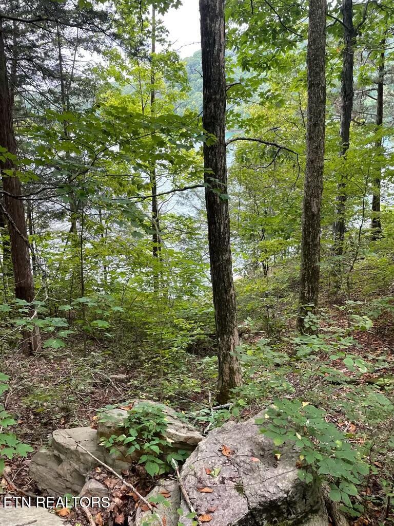 Lot 784 Russell Brothers Rd, Sharps Chapel, TN - Norris Lake Real Estate - Image# 3