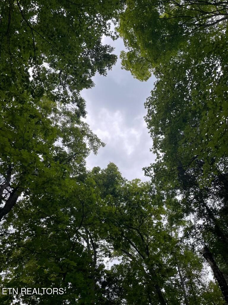 Lot 784 Russell Brothers Rd, Sharps Chapel, TN - Norris Lake Real Estate - Image# 2