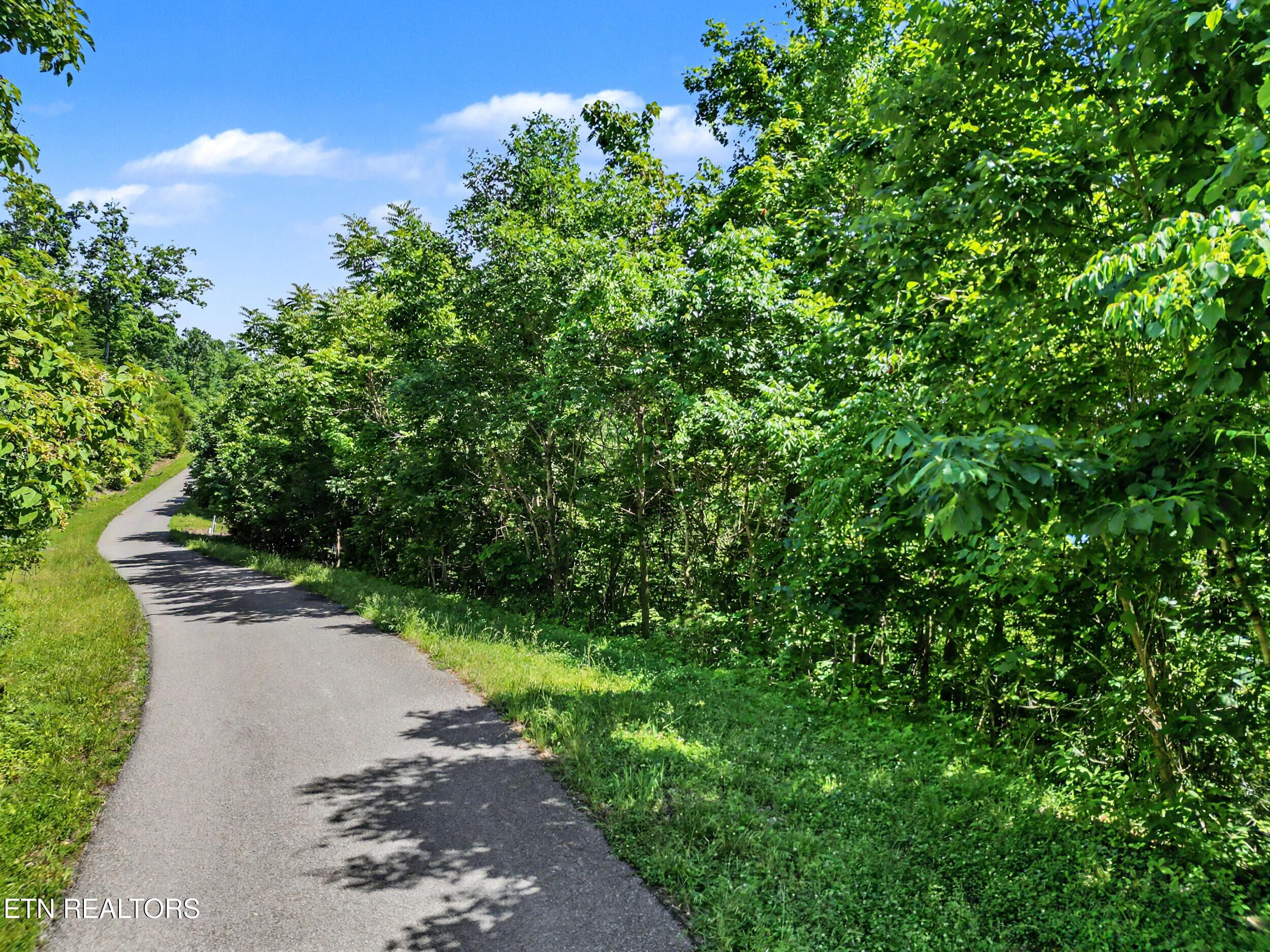 Lot 784 Russell Brothers Rd, Sharps Chapel, TN - Norris Lake Real Estate - Image# 6