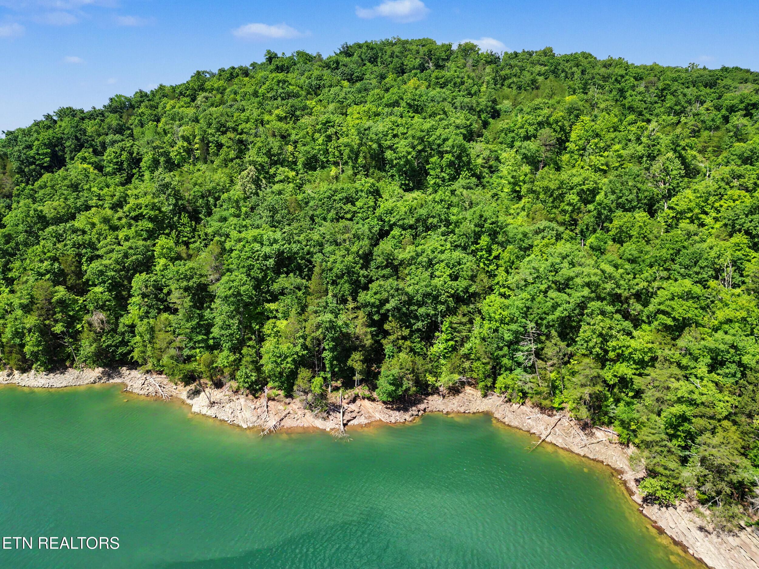 Lot 784 Russell Brothers Rd, Sharps Chapel, TN - Norris Lake Real Estate - Image# 14
