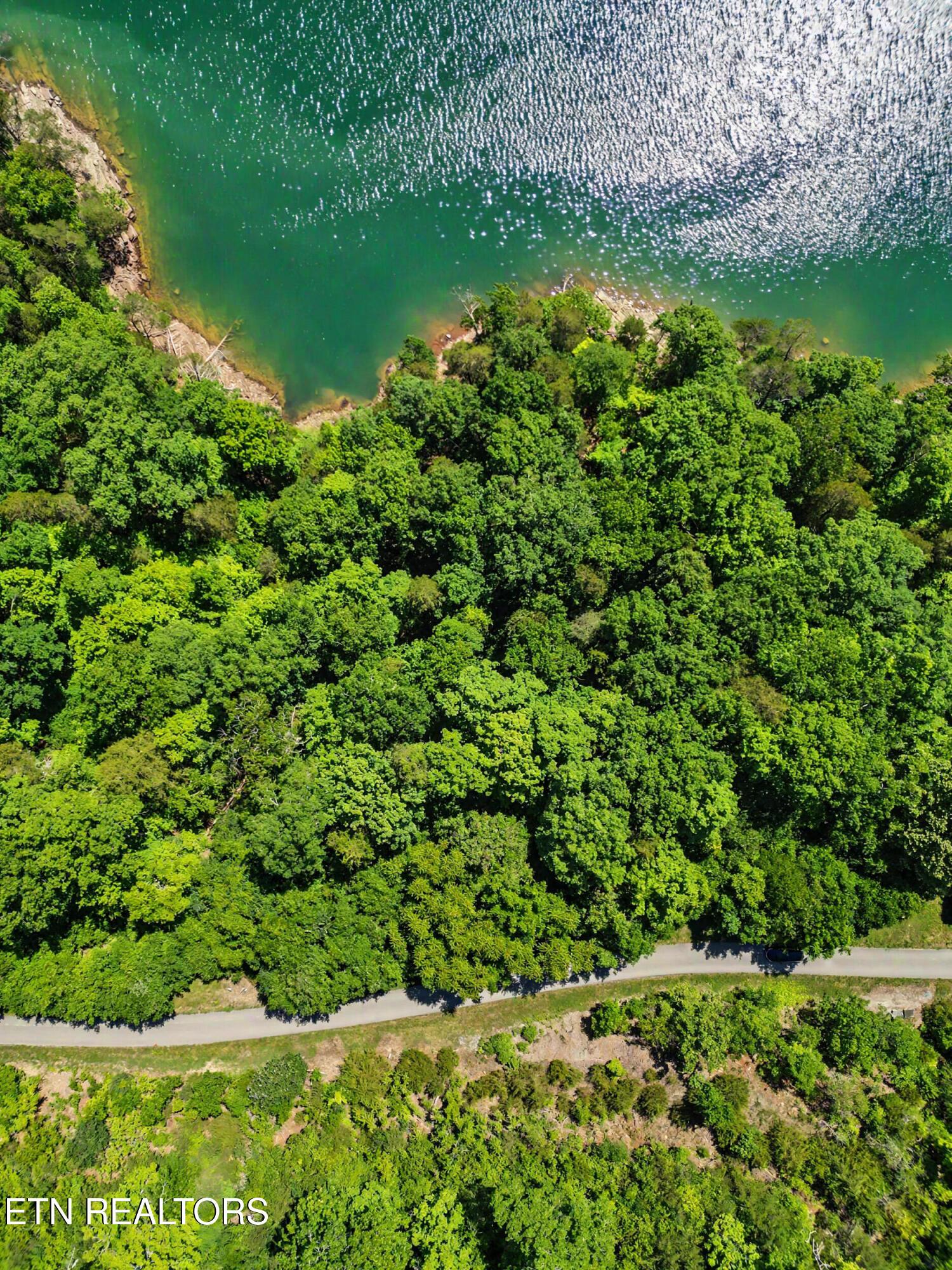 Lot 784 Russell Brothers Rd, Sharps Chapel, TN - Norris Lake Real Estate - Image# 7