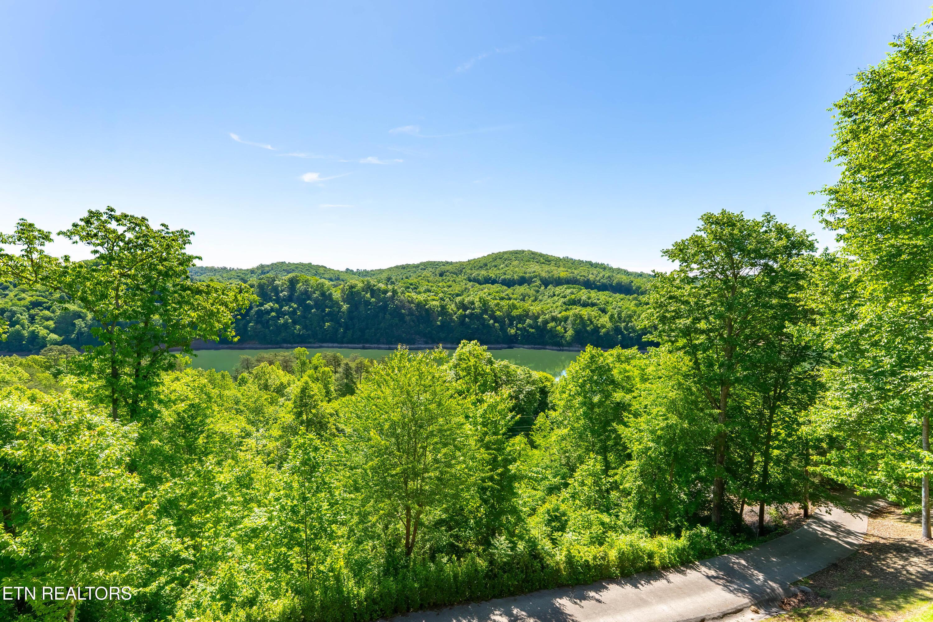 1738 Mountain Shores Rd, New Tazewell, TN - Norris Lake Real Estate - Image# 35