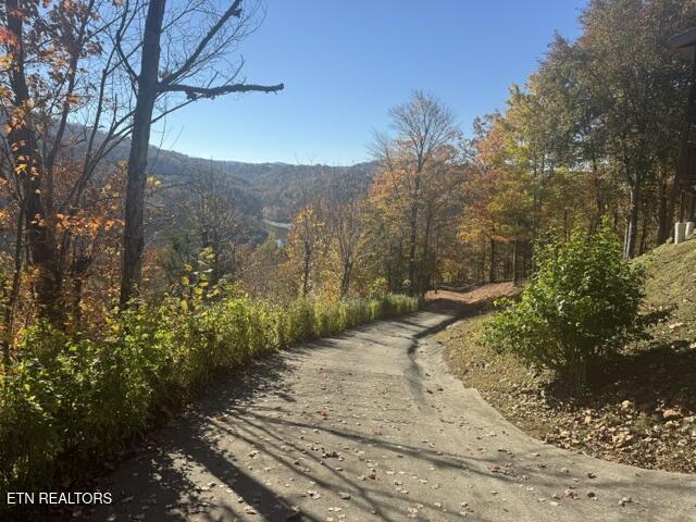 1738 Mountain Shores Rd, New Tazewell, TN - Norris Lake Real Estate - Image# 42