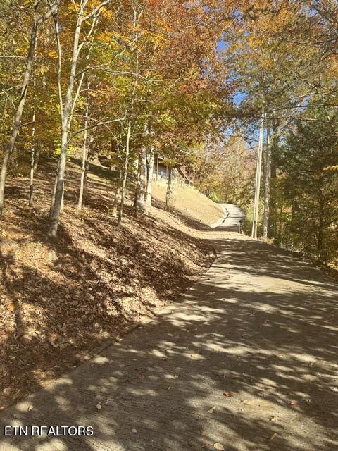 1738 Mountain Shores Rd, New Tazewell, TN - Norris Lake Real Estate - Image# 44