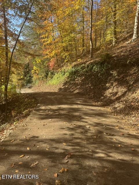 1738 Mountain Shores Rd, New Tazewell, TN - Norris Lake Real Estate - Image# 49