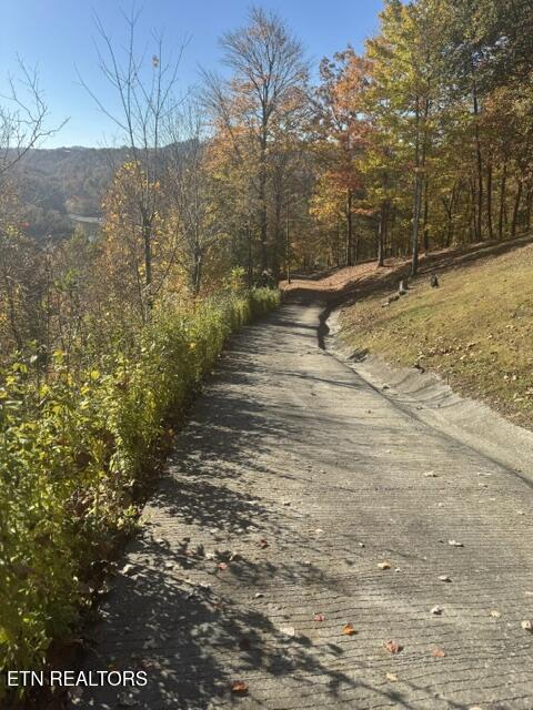 1738 Mountain Shores Rd, New Tazewell, TN - Norris Lake Real Estate - Image# 50