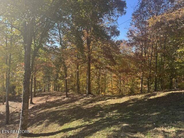 1738 Mountain Shores Rd, New Tazewell, TN - Norris Lake Real Estate - Image# 51