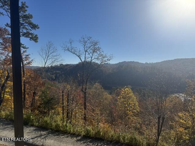 1738 Mountain Shores Rd, New Tazewell, TN - Norris Lake Real Estate - Image# 36