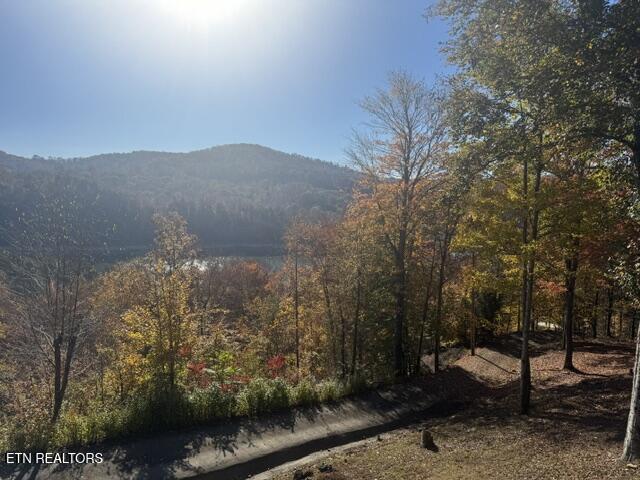 1738 Mountain Shores Rd, New Tazewell, TN - Norris Lake Real Estate - Image# 52