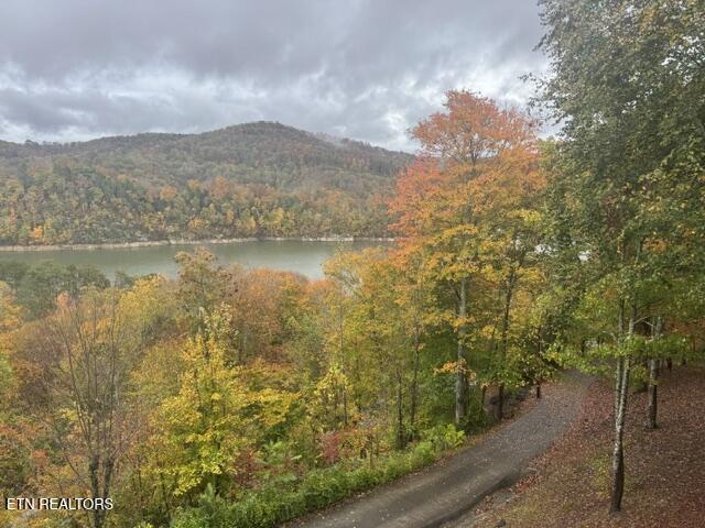 1738 Mountain Shores Rd, New Tazewell, TN - Norris Lake Real Estate - Image# 38