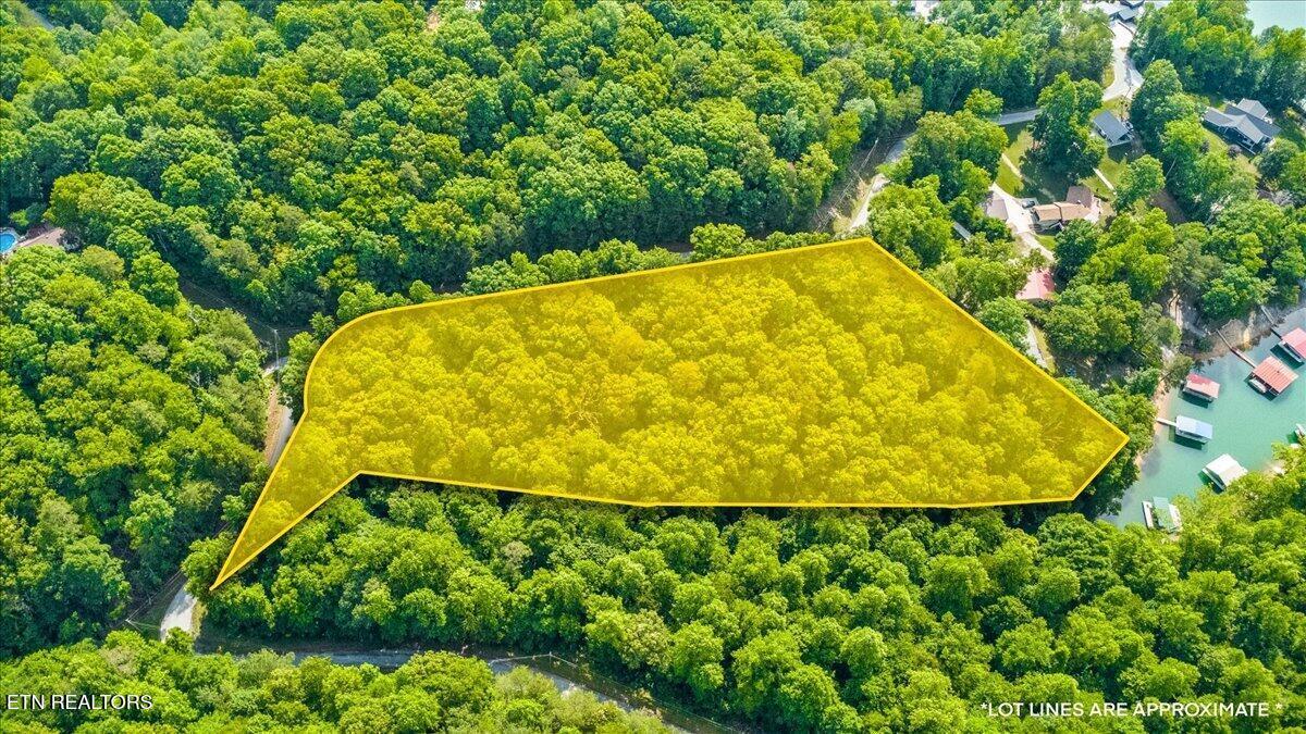 Big Creek Rd, Lafollette, TN - Norris Lake Real Estate - Image# 2