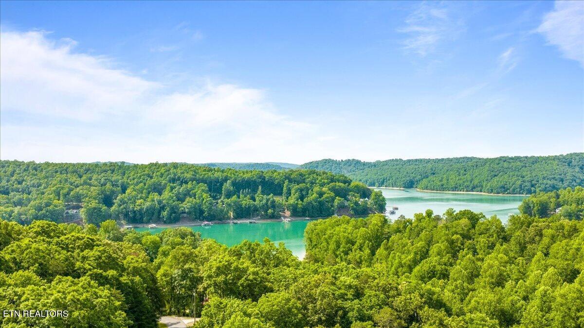 Big Creek Rd, Lafollette, TN - Norris Lake Real Estate - Image# 3